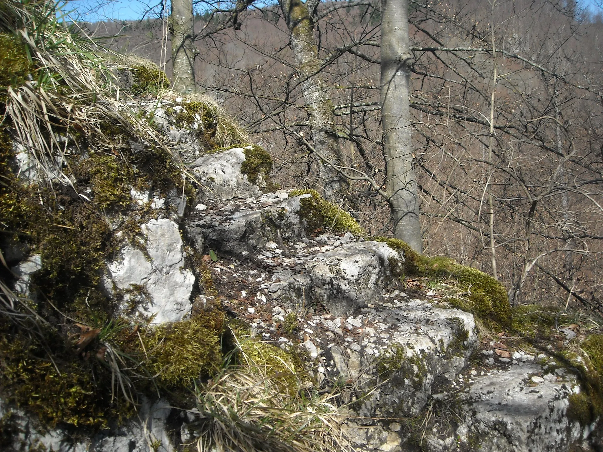 Photo showing: In den Fels gehauene Treppenstufen der ehemaligen Burg Baldeck zwischen Bad Urach und Seeburg.