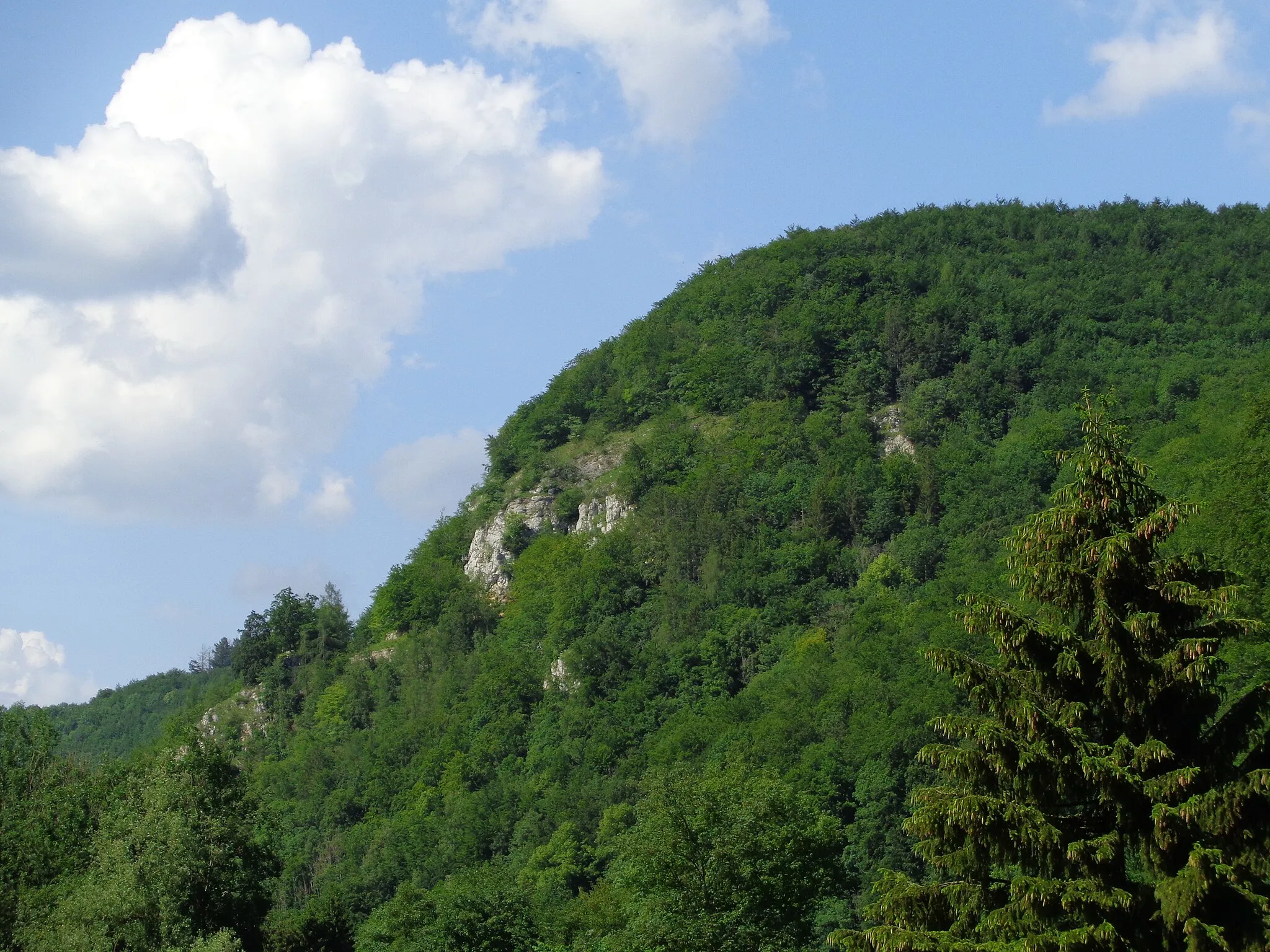Photo showing: Flächenhaftes Naturdenkmal: Ruine Baldeck (84150780065);
Geotop: Ruine-Baldeck-Felsen und Felstor (Geotop-ID ND8415126);
FFH-Gebiet: Uracher Talspinne (7522341);
Biosphärengebiet Schwäbische Alb (Schutzgebiets-Nr. 1);

zwischen Bad Urach Seeburg (bei Urach)