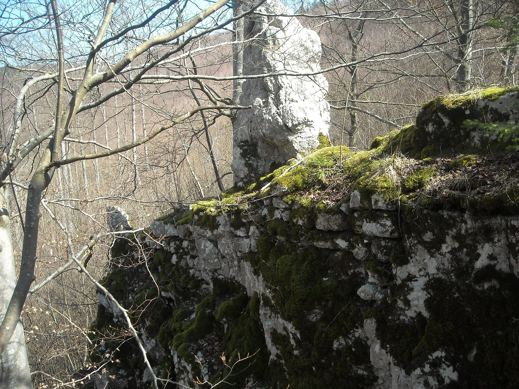 Photo showing: Der einzige noch sichtbare Mauerrest der ehemaligen Burg Baldeck zwischen Bad Urach und Seeburg.