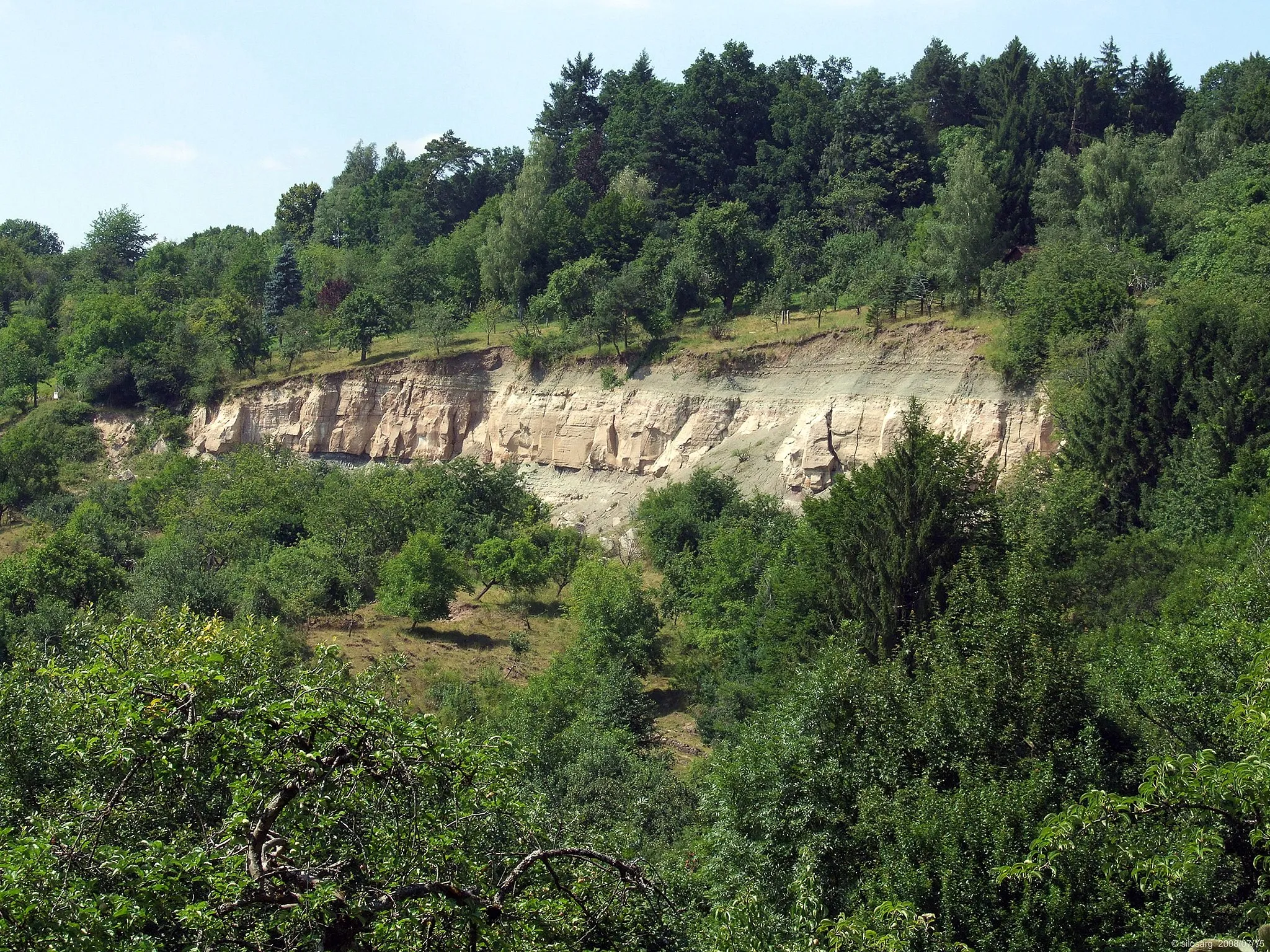 Photo showing: Bergrutsch vom 07.04.2001 bei Urbach, aufgenommen am 15.07.2008.