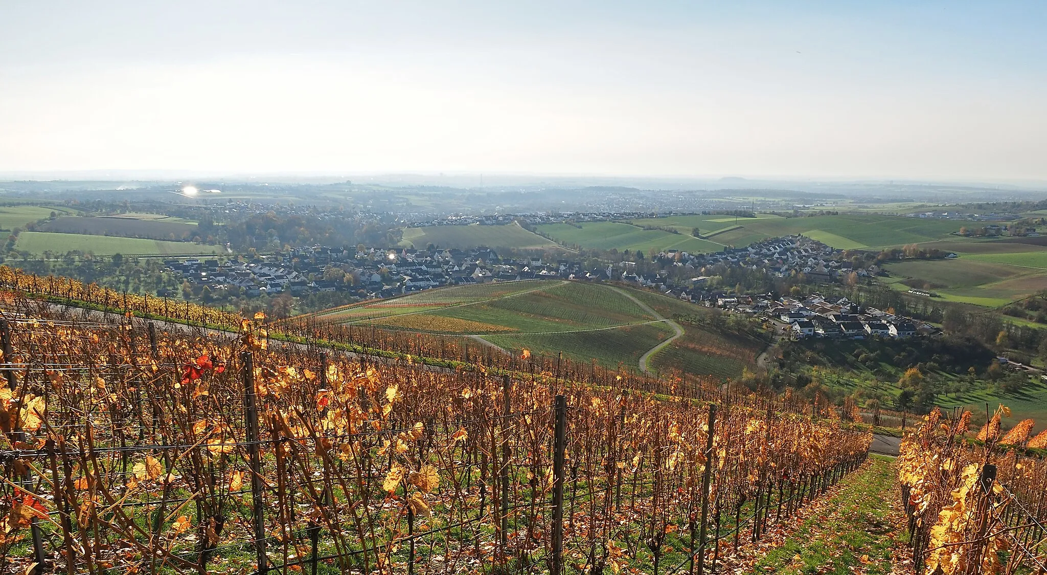 Photo showing: Blick vom Benning auf Kleinbottwar