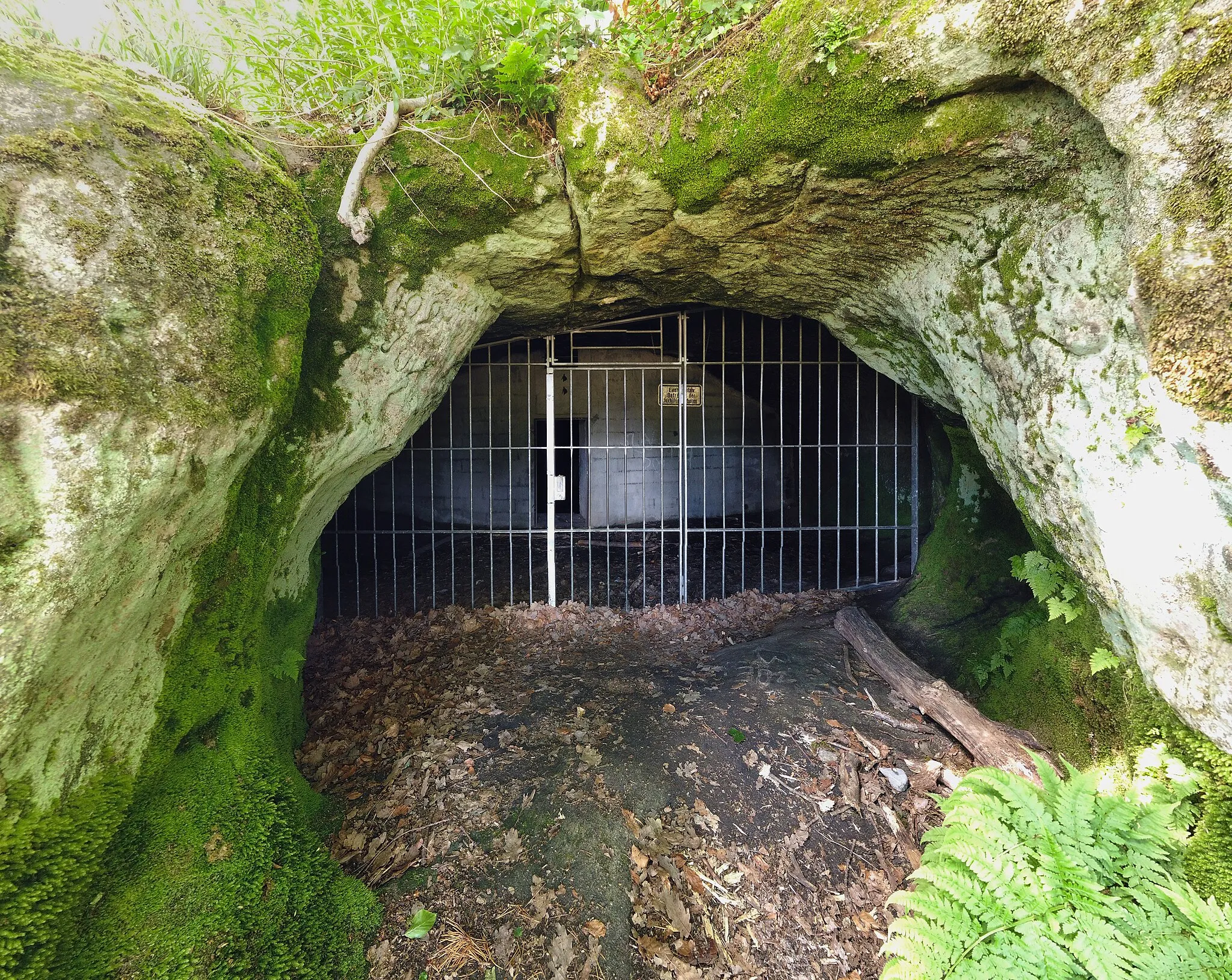 Photo showing: Eingang zur Stubensandsteinhöhle auf dem Juxkopf bei Rudersberg