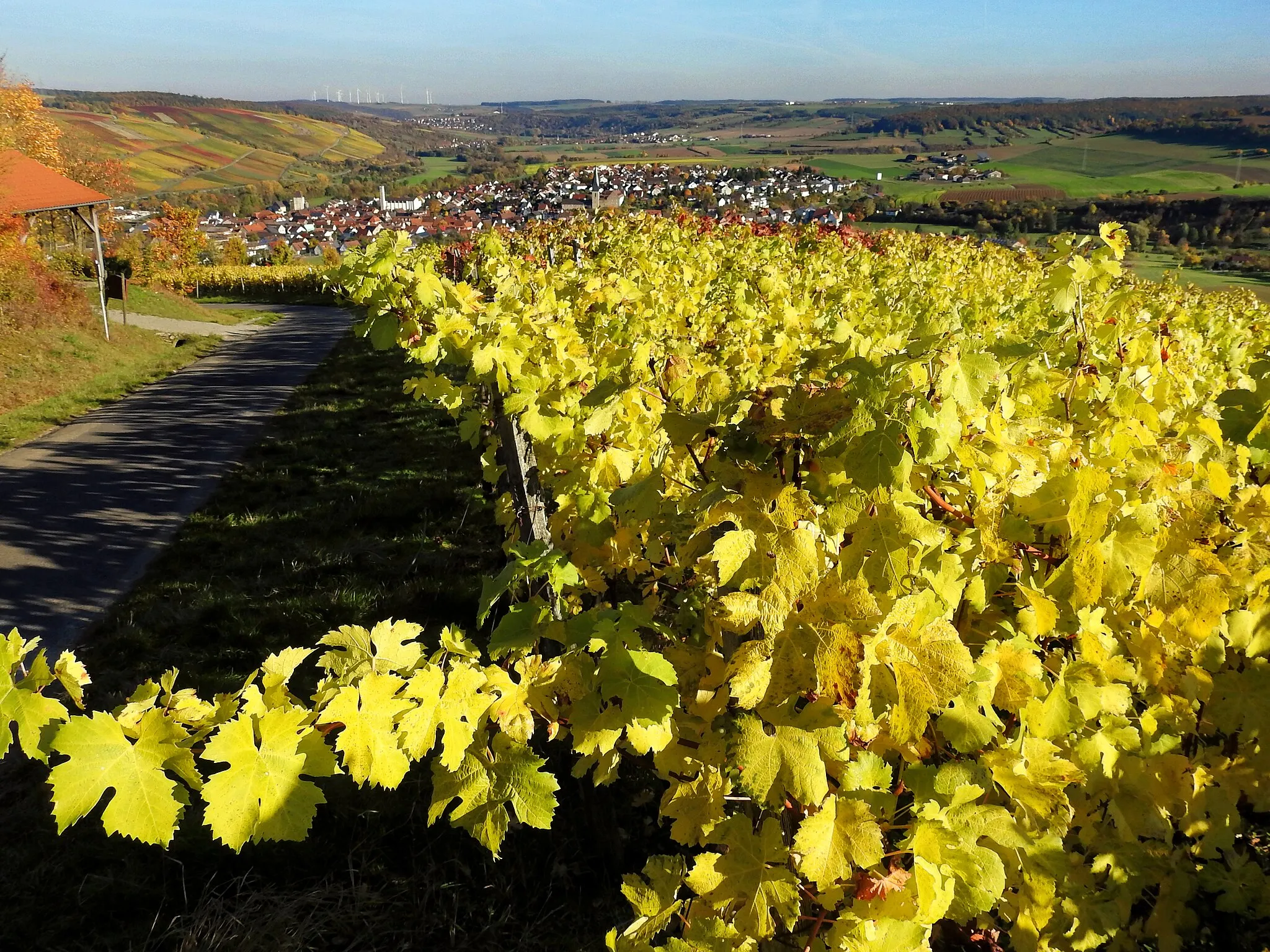 Photo showing: The vineyards of Markelsheim.