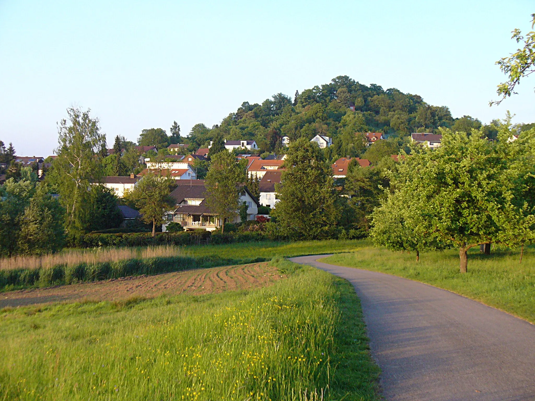 Photo showing: Ottilienberg, Blick auf die Westflanke (Schorndorf, Baden-Württemberg, Deutschland)