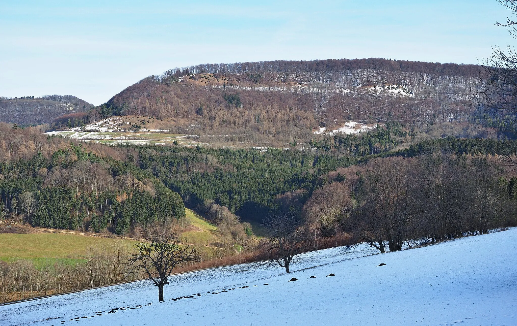 Photo showing: "Bargauer Horn" hill (elev. 754 m), Swabian Jura, in winter