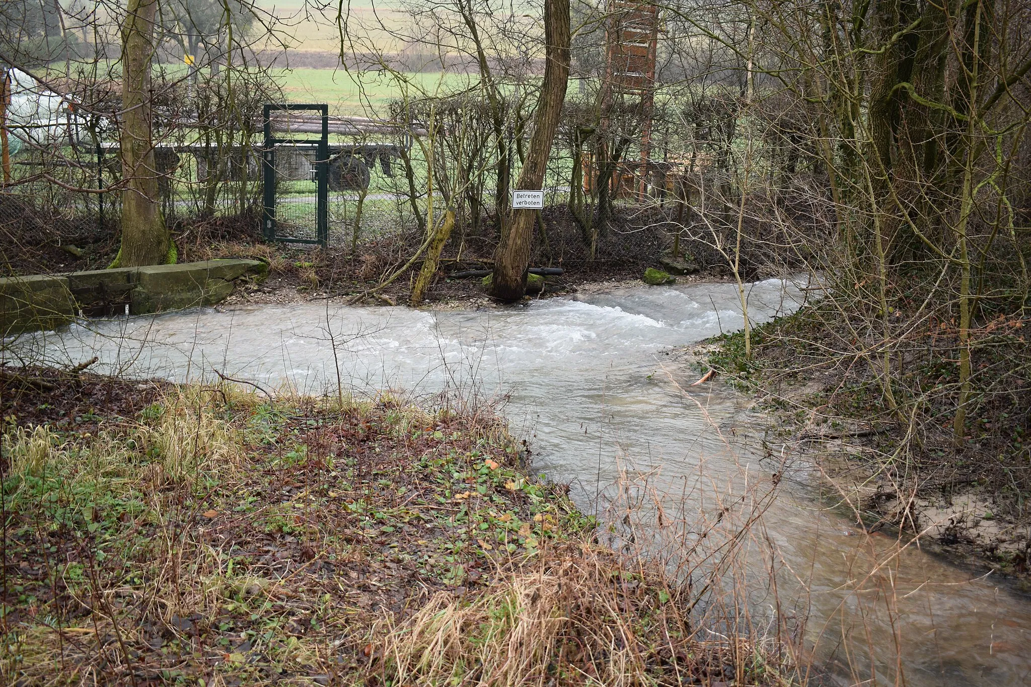 Photo showing: Einmündung des Tumbachs (rechts) in den Beurener Bach (vorne), der dadurch zum Klotzbach (links) wird.