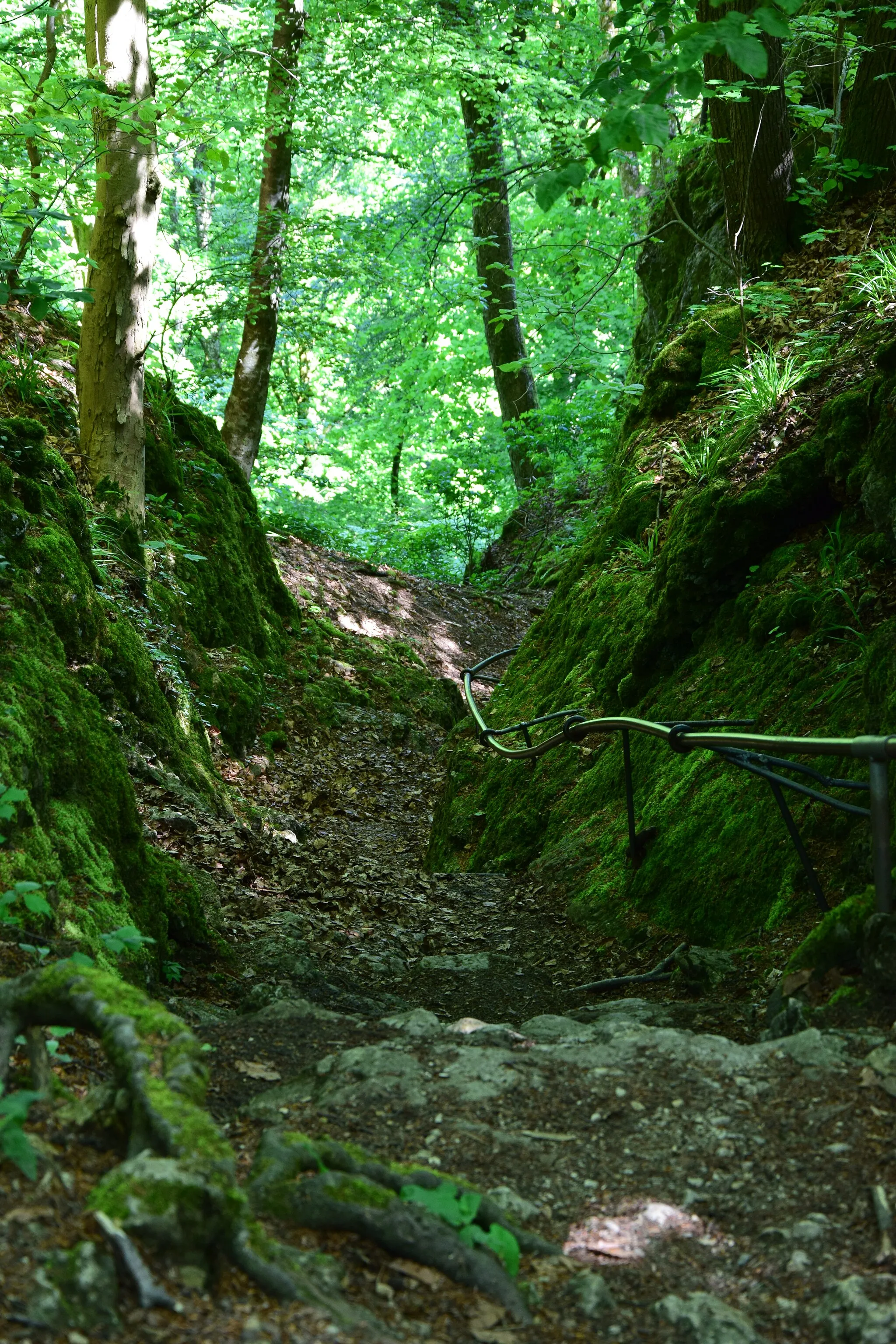 Photo showing: Abgang zur Höhle Grosse Scheuer Naturschutzgebiet Rosenstein bei Heubach (Schutzgebiets-Nr.: 1.086; WPDA-ID: 82440).