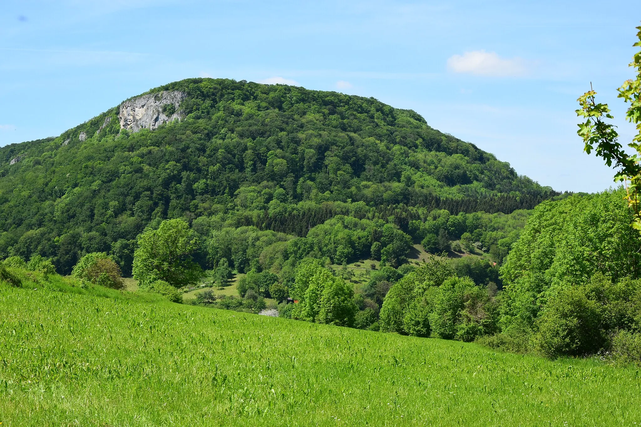 Photo showing: The mountain and the nature reserve of the same name of Rose stone with hay brook (protective area-No.: 1.086; WDPA-ID: 82440).