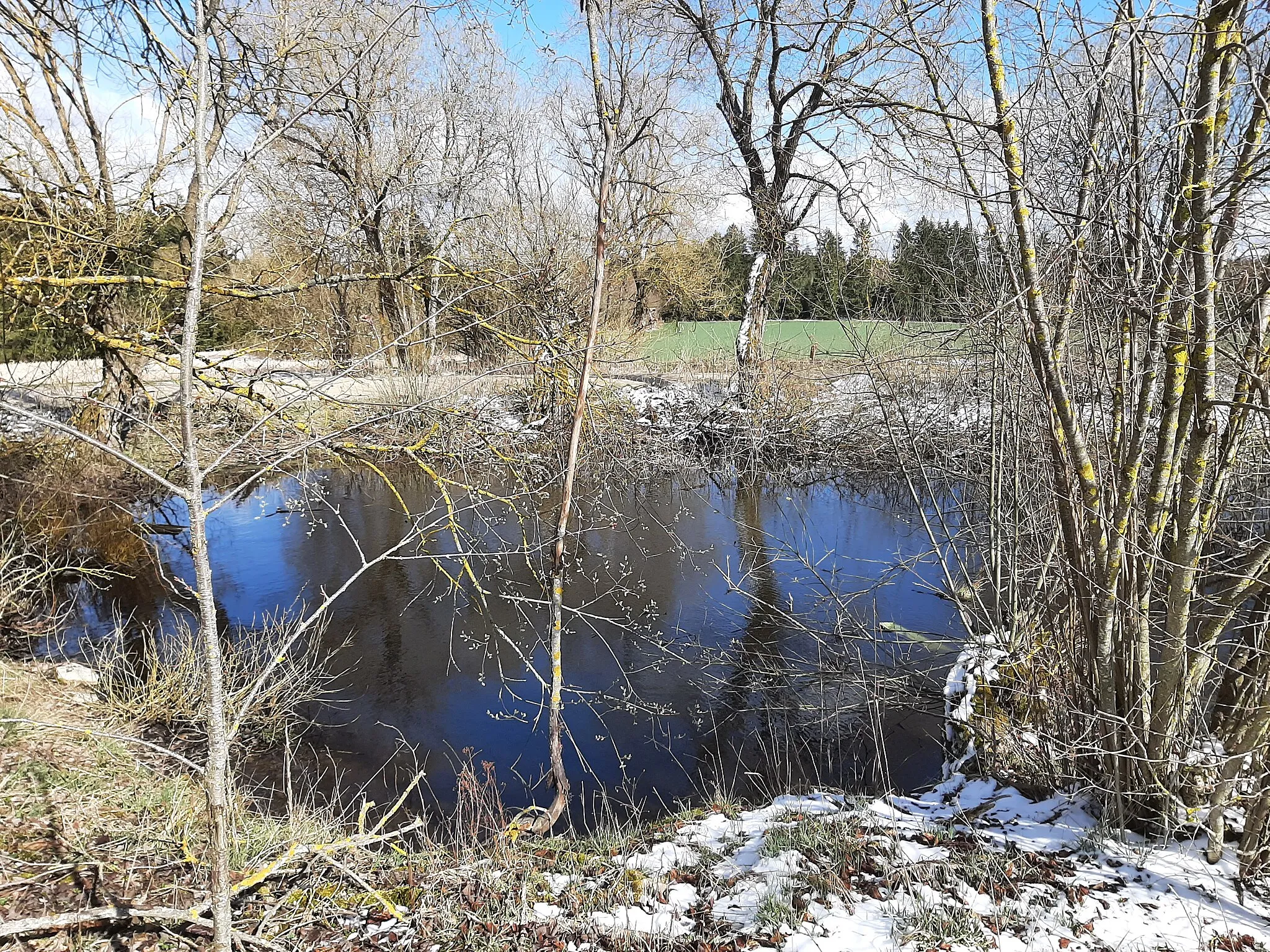 Photo showing: Pond at Bibersohl, Steinheim Germany 2021
