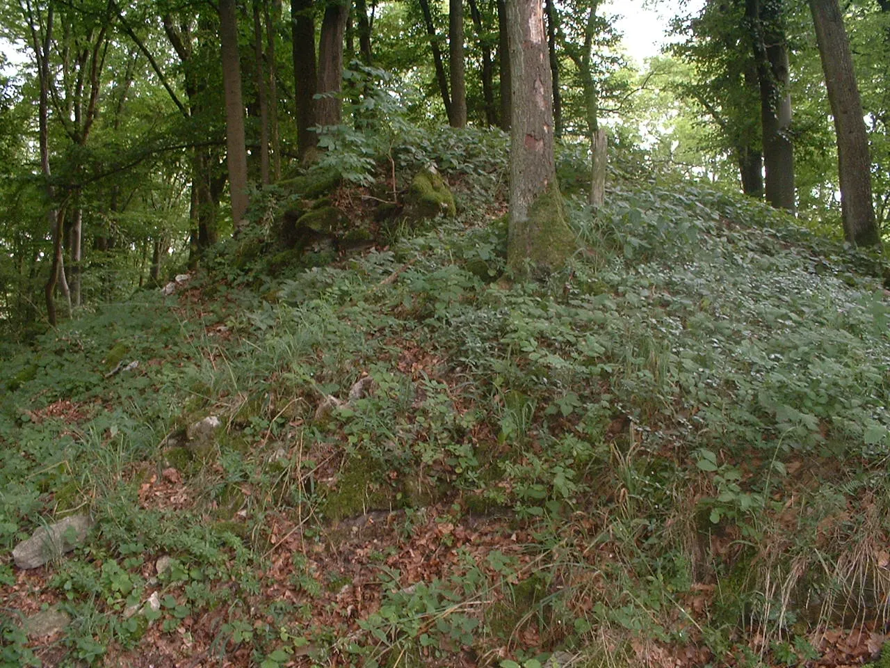 Photo showing: Hertenstein Castle, remains of the keep