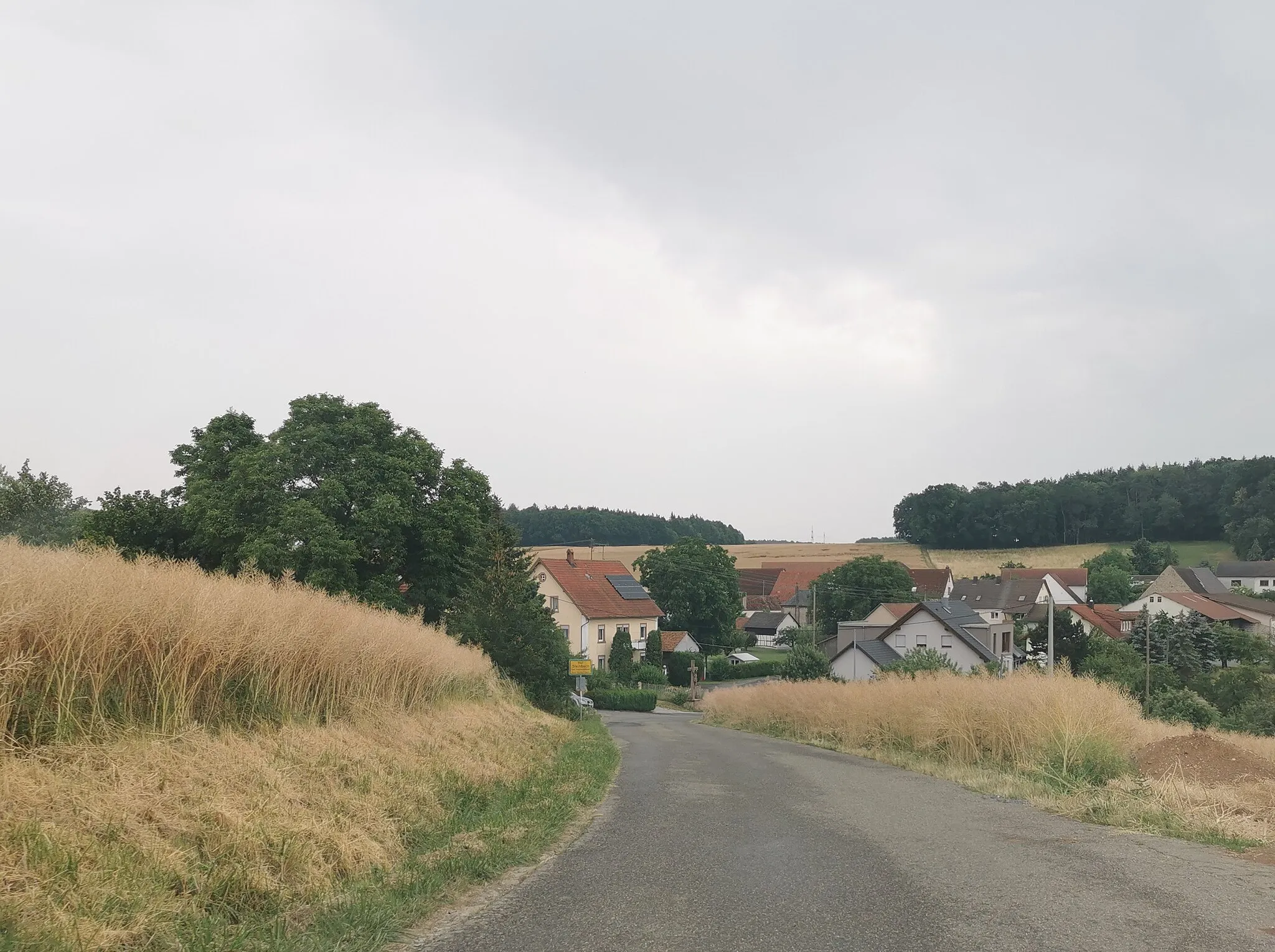 Photo showing: 2023-06-30 Hof Steinbach, umgeben von Rapsfeldern