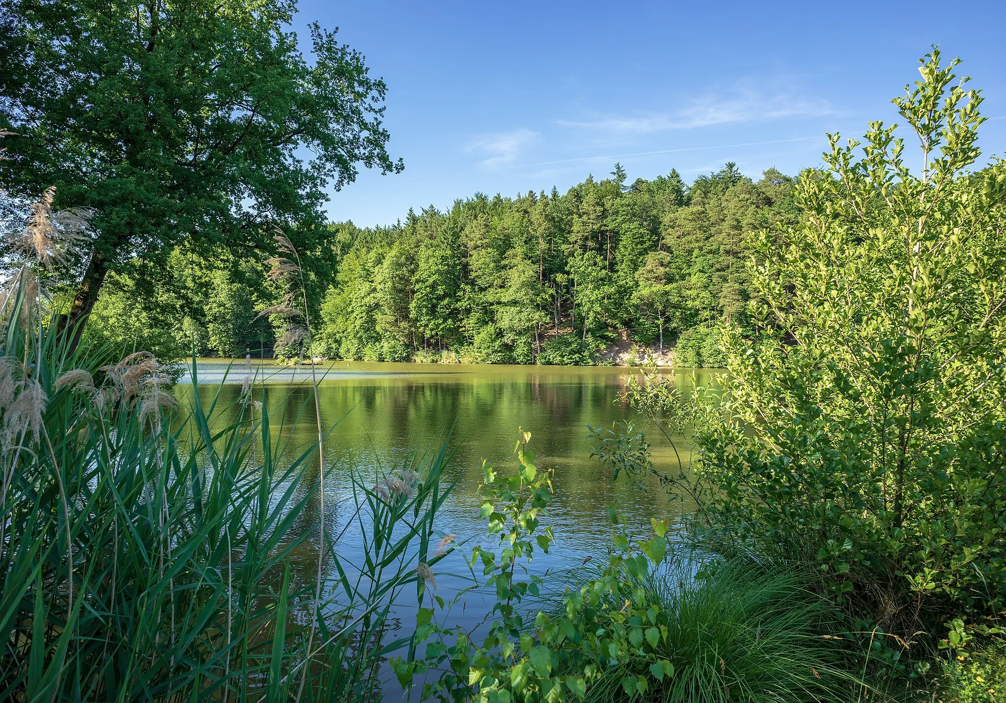Photo showing: The Finsterroter See (lake of Finsterrot) near Wüstenrot, Germany, seen from the southwest corner. Part of the protected landscape area Burgfrieden – Oberes Dachsbachtal (local ID 1.25.042, WDPA ID 320207).