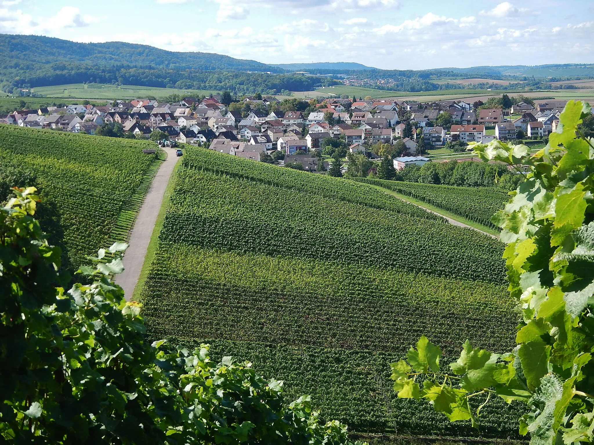 Photo showing: Brackenheim, Blick Richtung Cleebronn