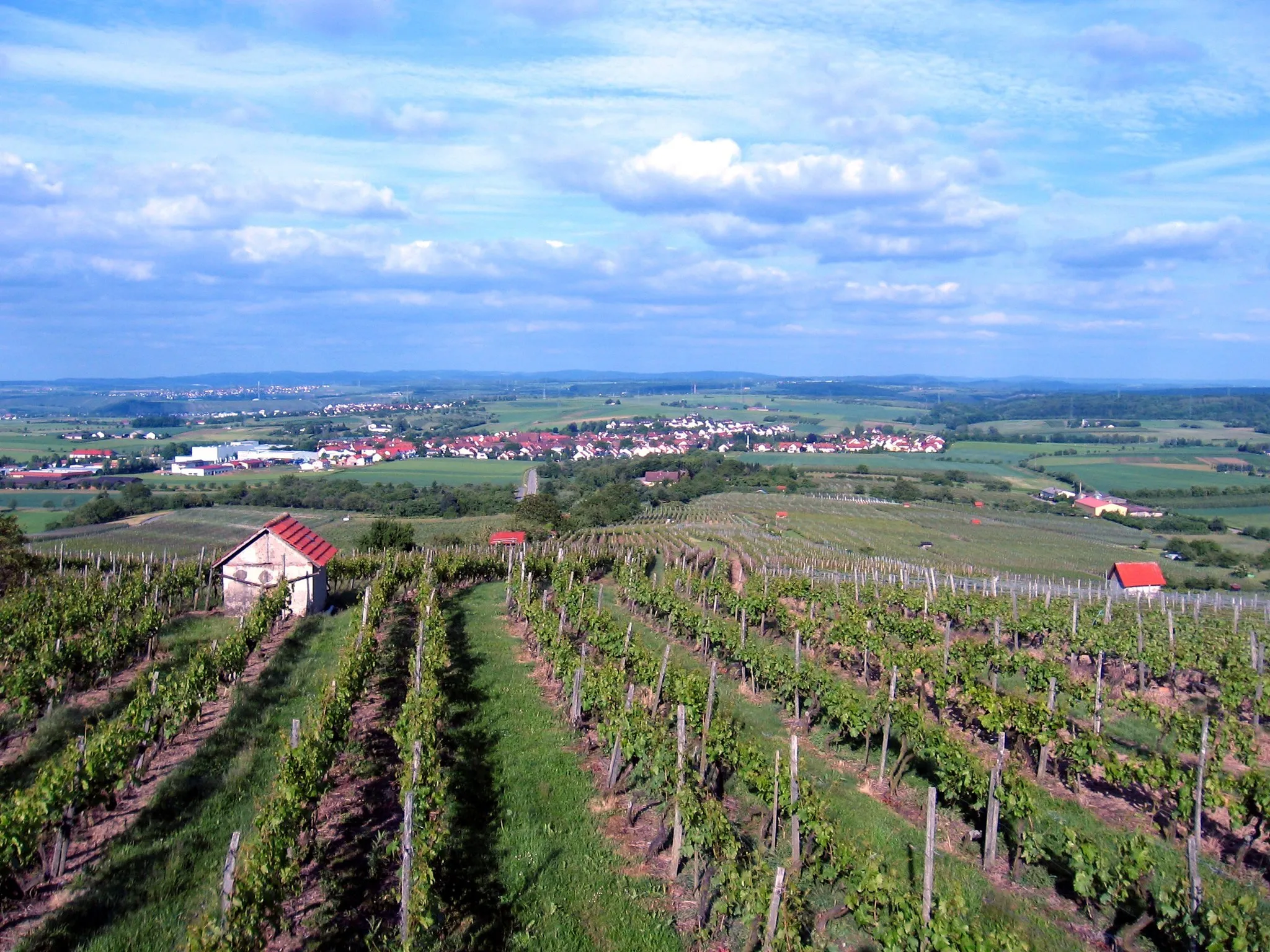 Photo showing: Blick von der Erligheimer Weinkanzel auf Erligheim und Weinberge.