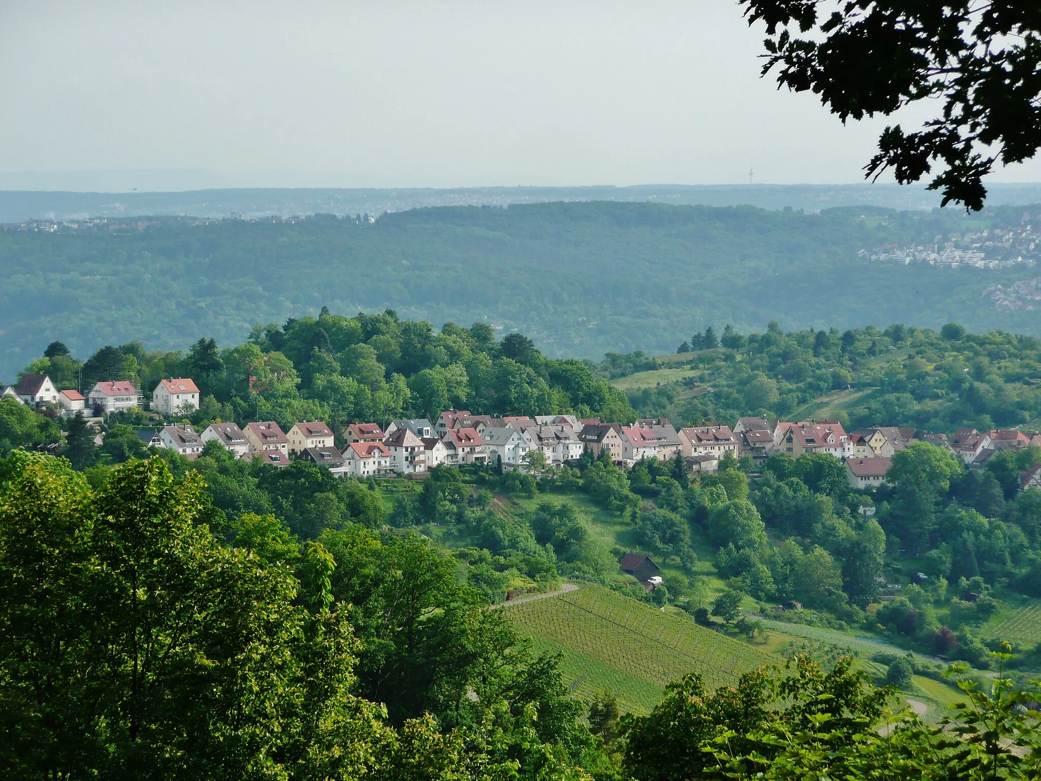 Photo showing: Rotenberg