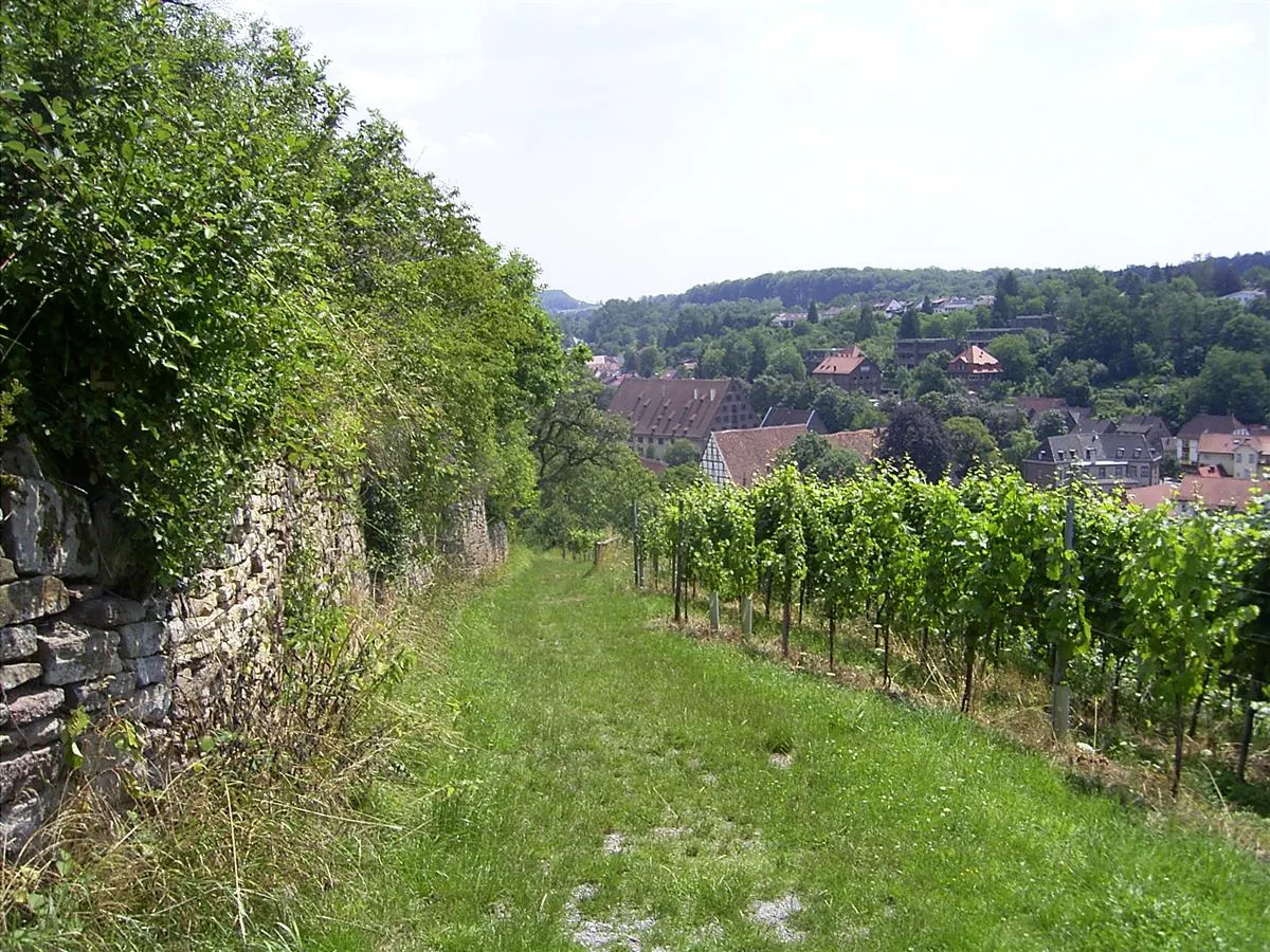 Photo showing: Maulbronn