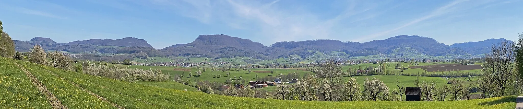 Photo showing: Panoramic shot of the Swabian Alb: Steep drop from the Burren (Filsalb), Wasserberg, Fuchseck, Sielenwang, Kornberg and Bossler. Location: Göppingen-Jebenhausen, Kurzes Holz. The Swabian Alb is a low mountain range in southern Germany (about 220 km long and 20 to 40 km wide, elevations up to 1,015 m above sea level).