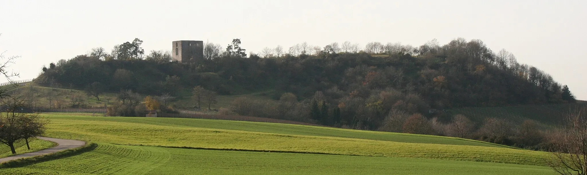 Photo showing: Helfenberg castle ruin in Ilsfeld-Helfenberg as seen from below Wildeck castle