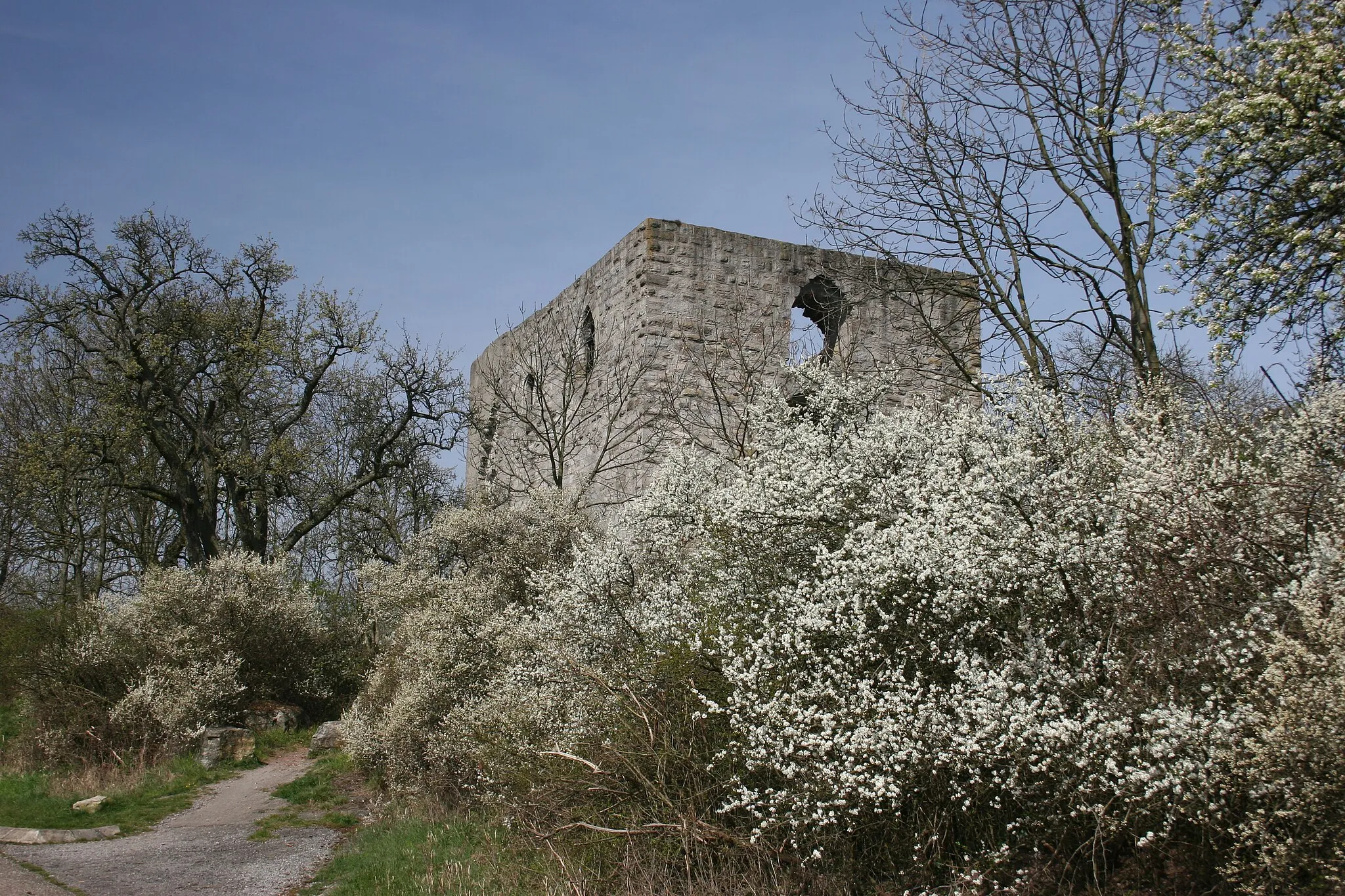 Photo showing: Ruine der Burg Helfenberg im Frühling 2007
