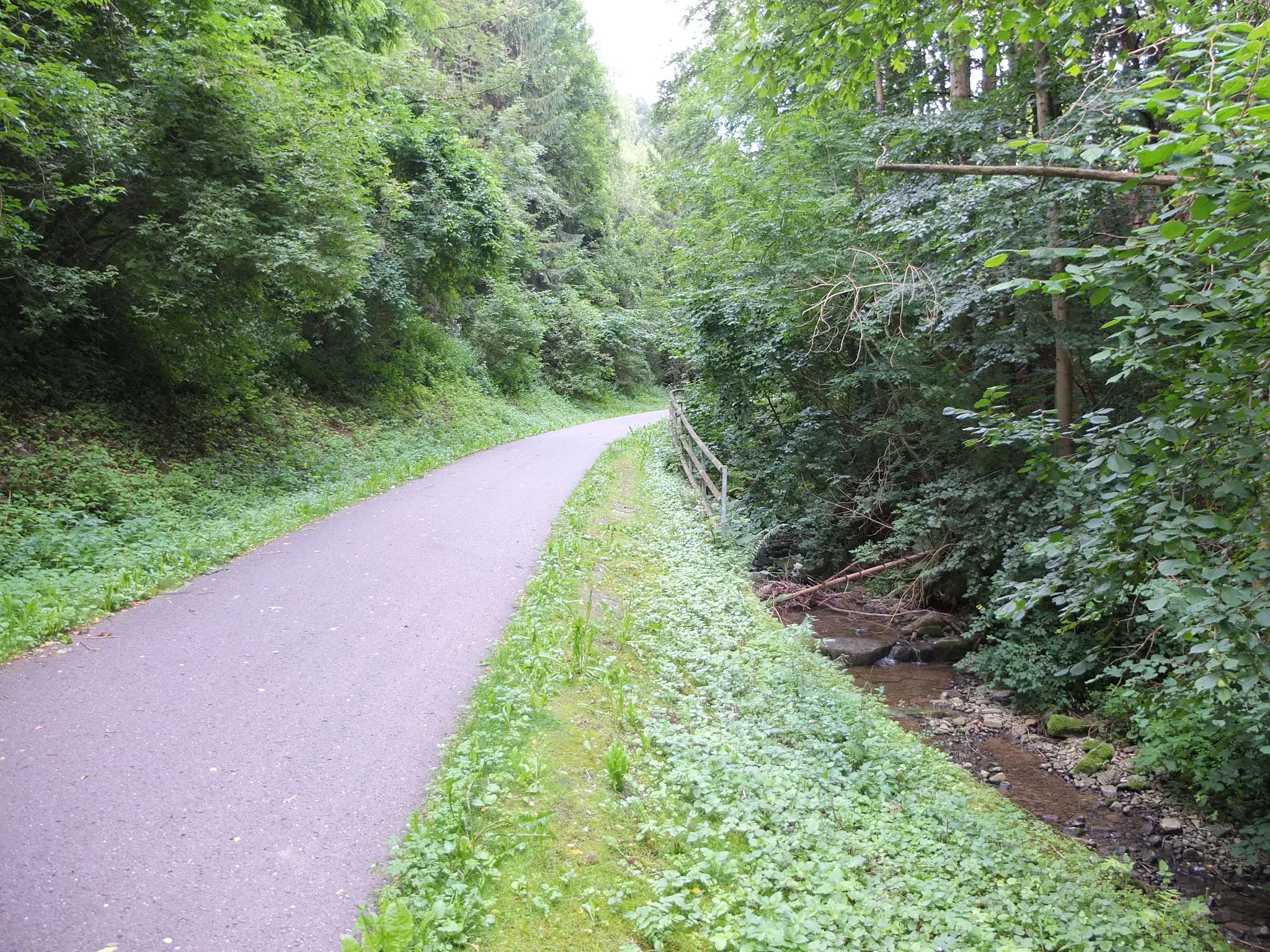 Photo showing: Rad- und Wanderweg auf der alten Bahntrasse der Kochertalbahn im Künsbachtal. Blick in Richtung Haag kurz nach Künzelsau.