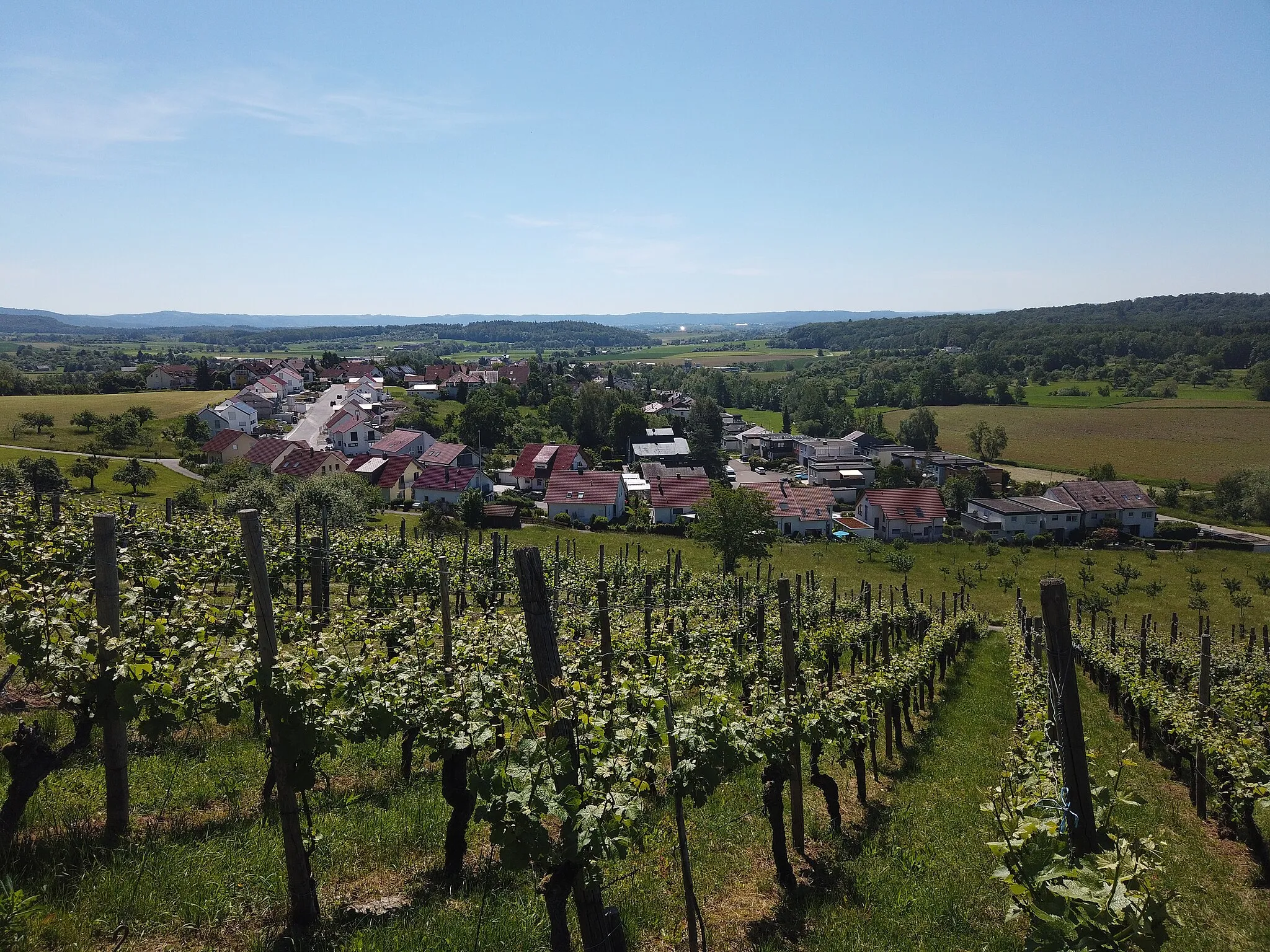 Photo showing: Blick auf Kleinaspach aus dem Weinberg bei Hornungshof/Sinzenburg