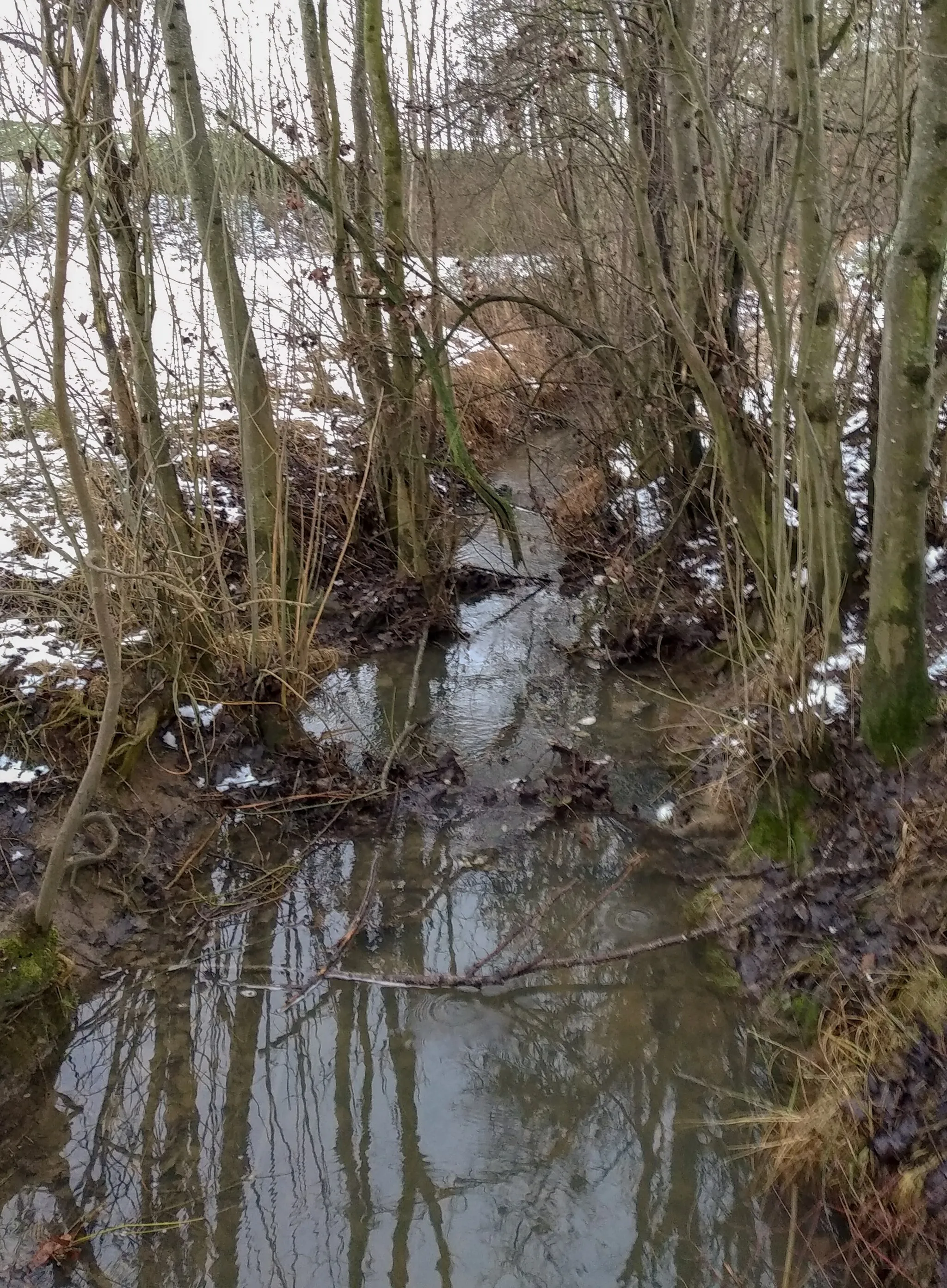 Photo showing: Krähenbach (Zufluss zur Murr) zwischen Großaspach und Backnang