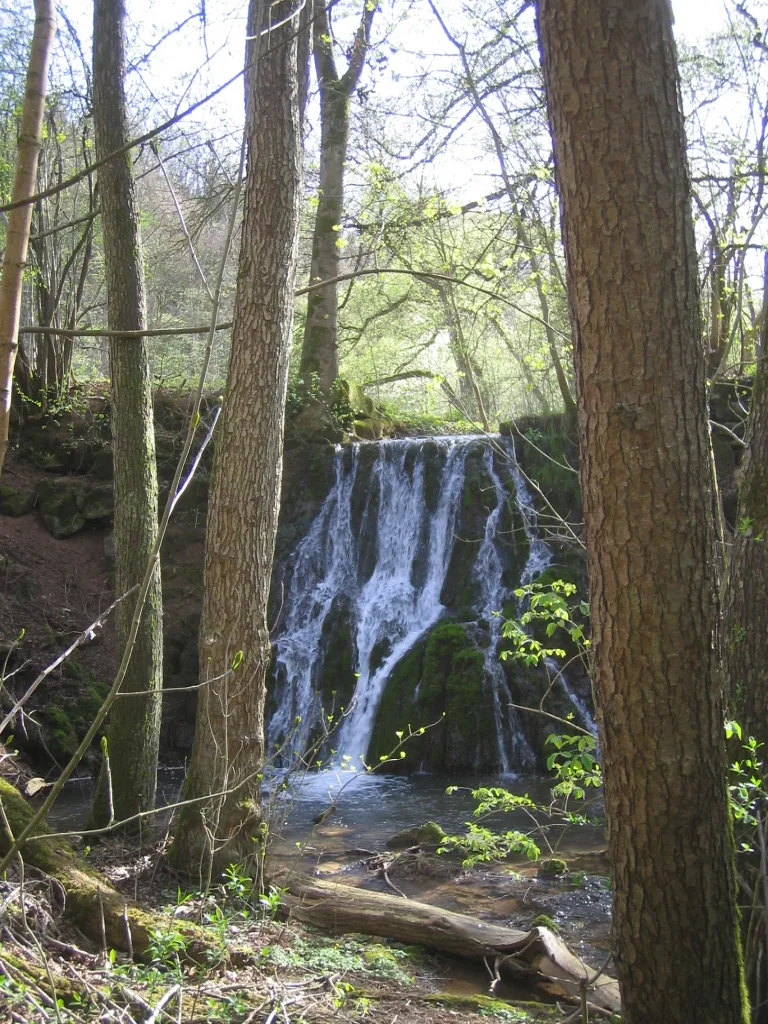 Photo showing: Kleiner Wasserfall des Maisenbachs (Tauber-Zufluss) bei Gamburg