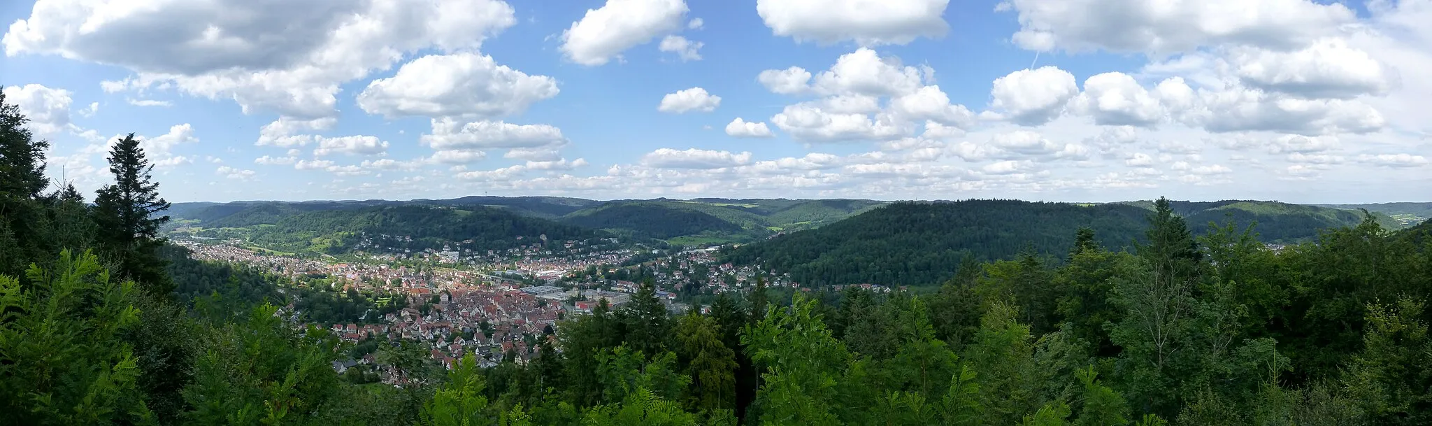 Photo showing: Panoramabild vom Riesbergturm nordwärts auf Murrhardt; rechts zwischen den Bäumen der Murrhardter Ortsteil Hausen; ganz rechts im Hintergrund Fornsbach
