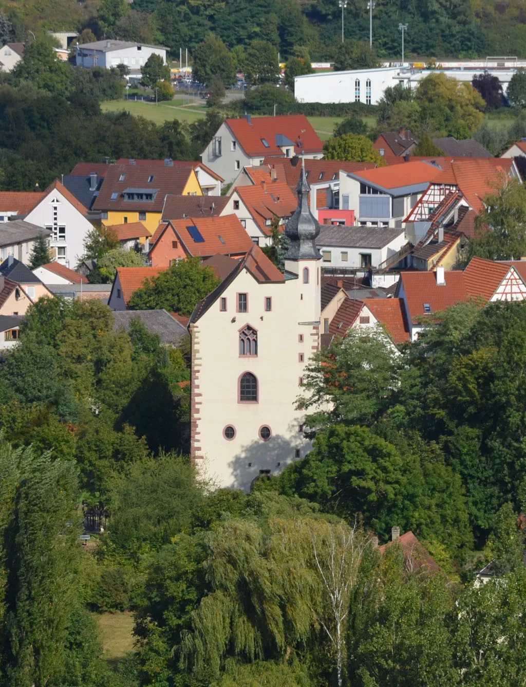 Photo showing: Blick vom Karlsberg auf das Tempelhaus in Neckarelz