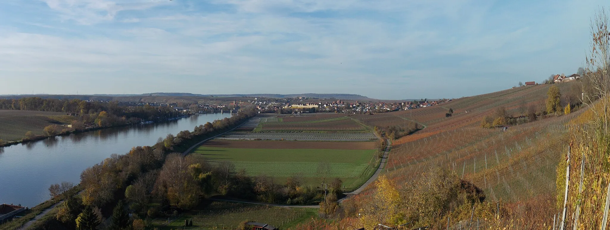 Photo showing: Panorama Weinberge und Neckar bei Lauffen