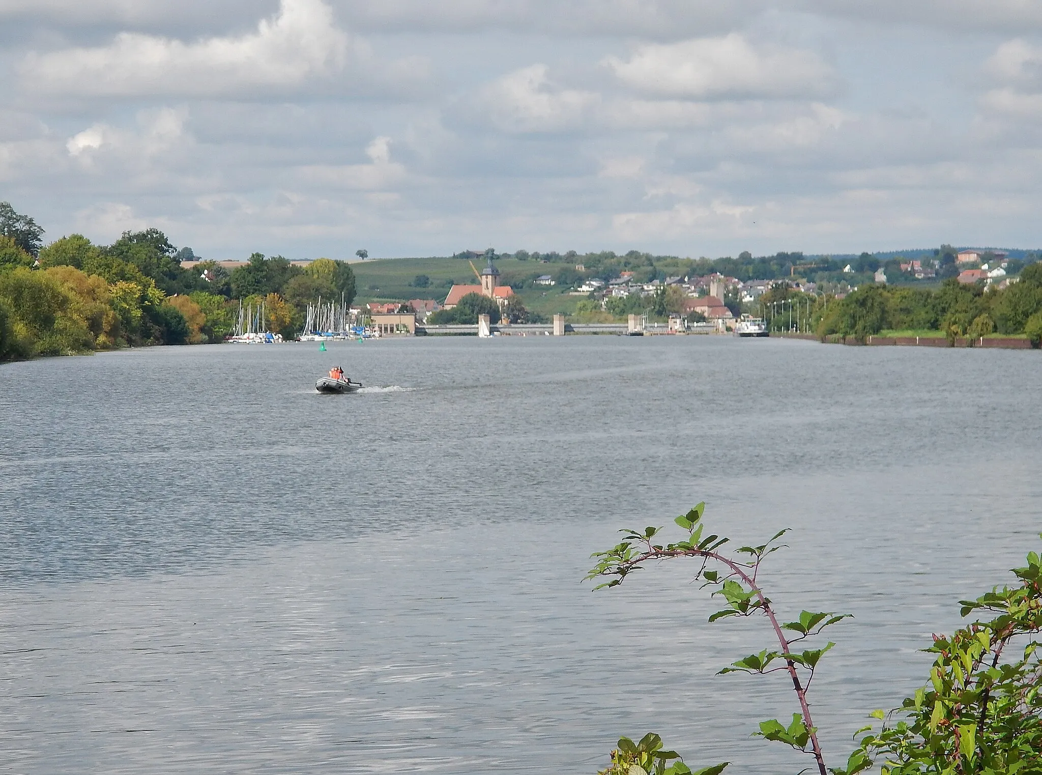 Photo showing: Beim 366 km langen Neckartalradweg: Neckar bei Lauffen