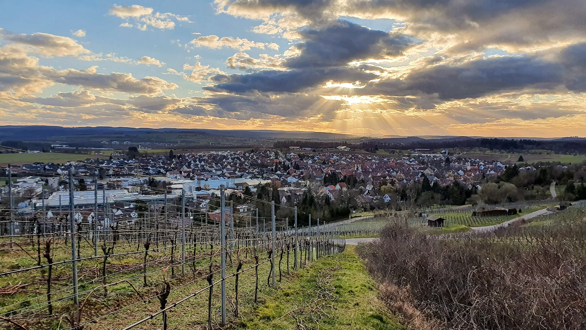 Photo showing: Blick von Ensinger Weinberg Richtung Ensingen und Illingen.