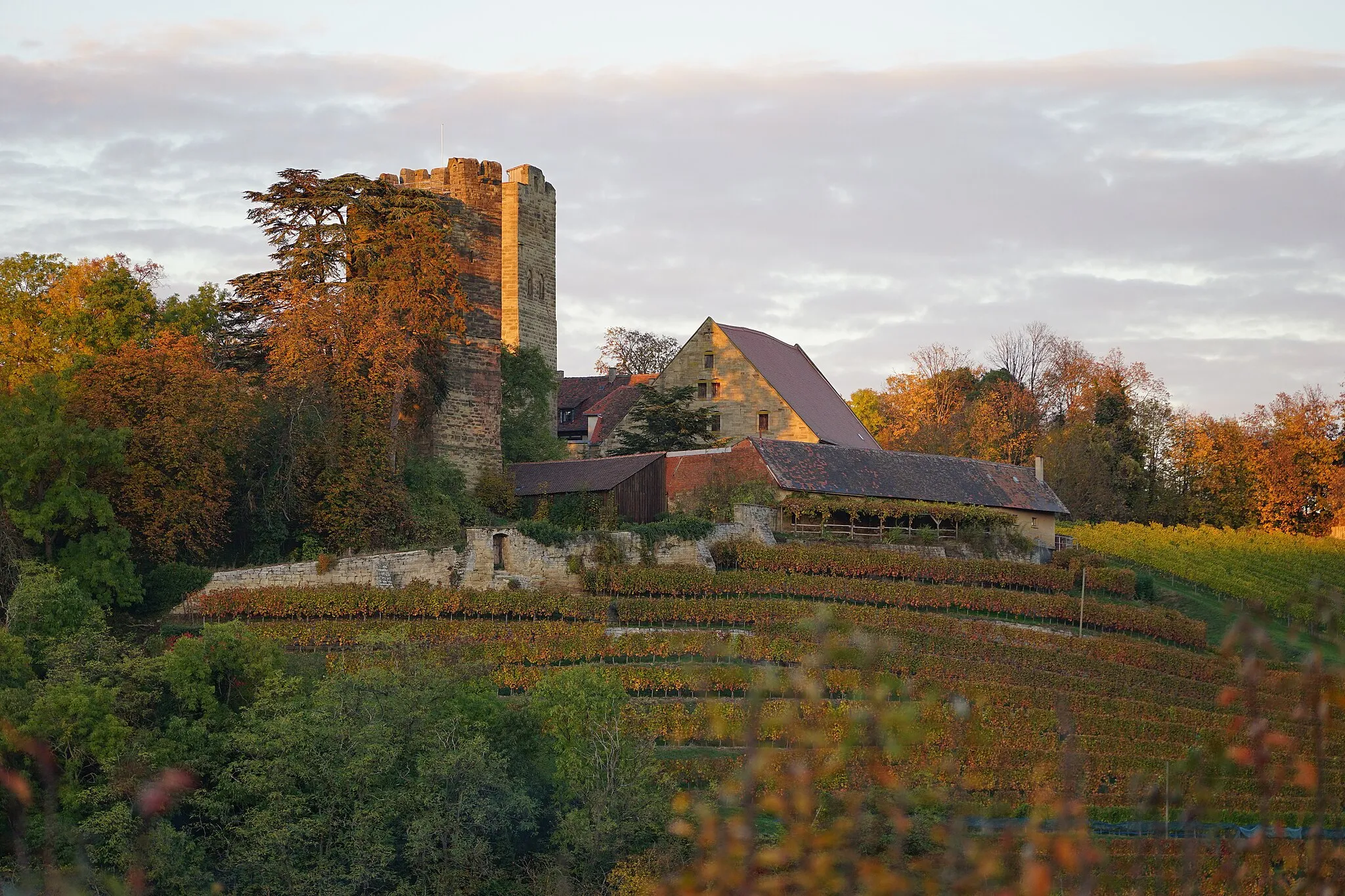 Photo showing: View of Neipperg Castle near Brackenheim (Germany), seen from WSW with autumn foliage.