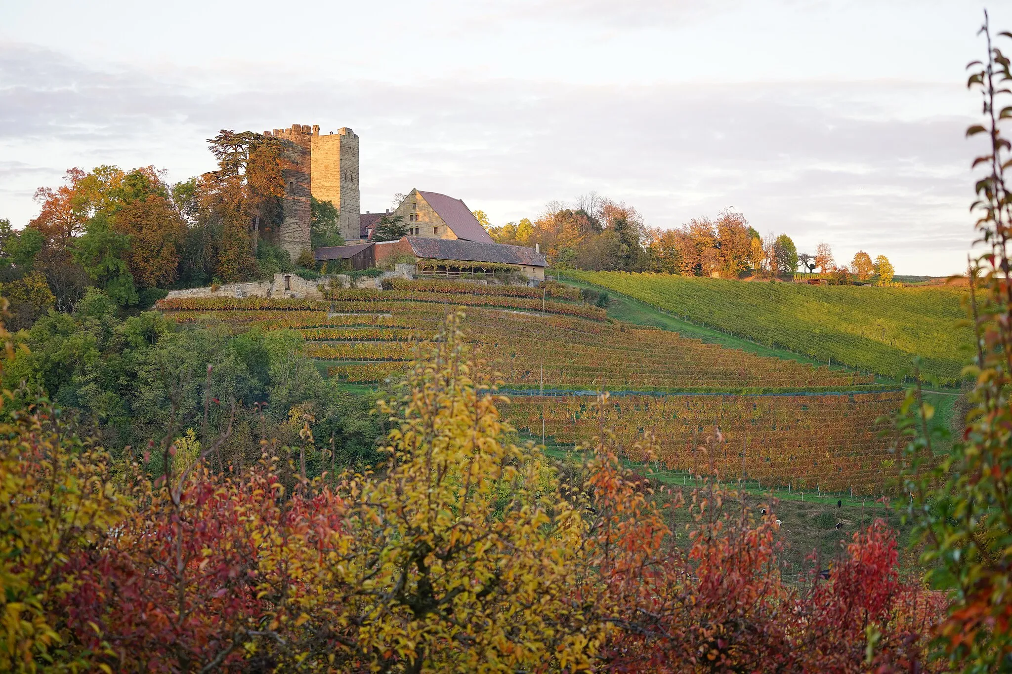 Photo showing: View of Neipperg Castle near Brackenheim (Germany), seen from SW with autumn foliage.