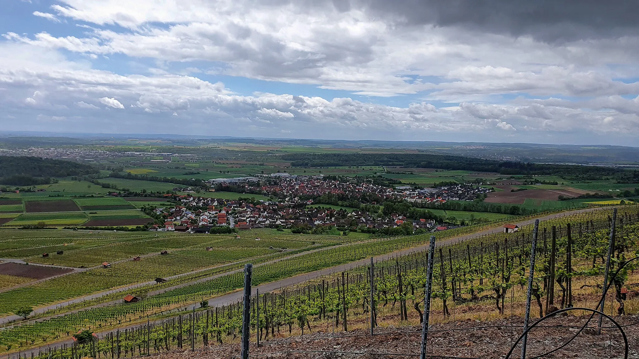 Photo showing: Blick vom Horrheimer Weinberg auf das Dorf.