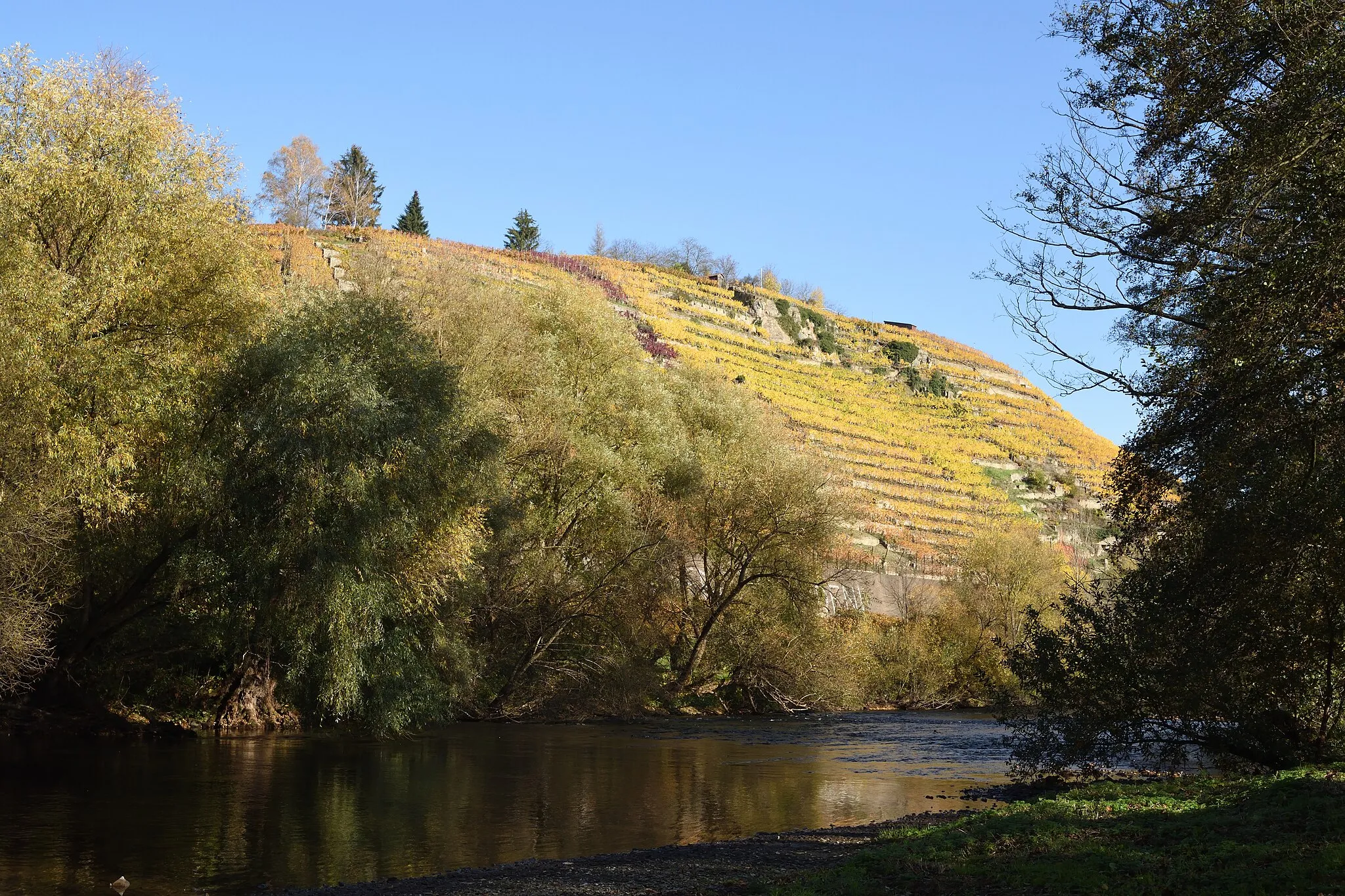 Photo showing: Weinbau in Steillage oberhalb der Enz