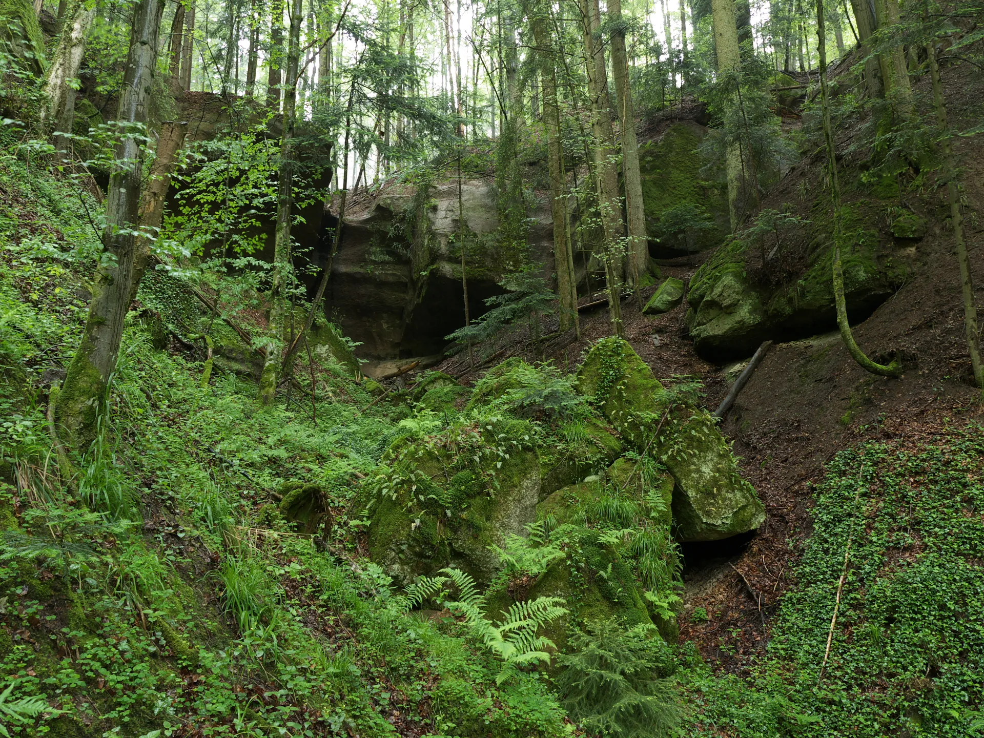 Photo showing: View in north direction (roughly) to the grotto in the Geldmacherklinge (natural monument; ravine near Welzheim in Baden-Württemberg, Germany)