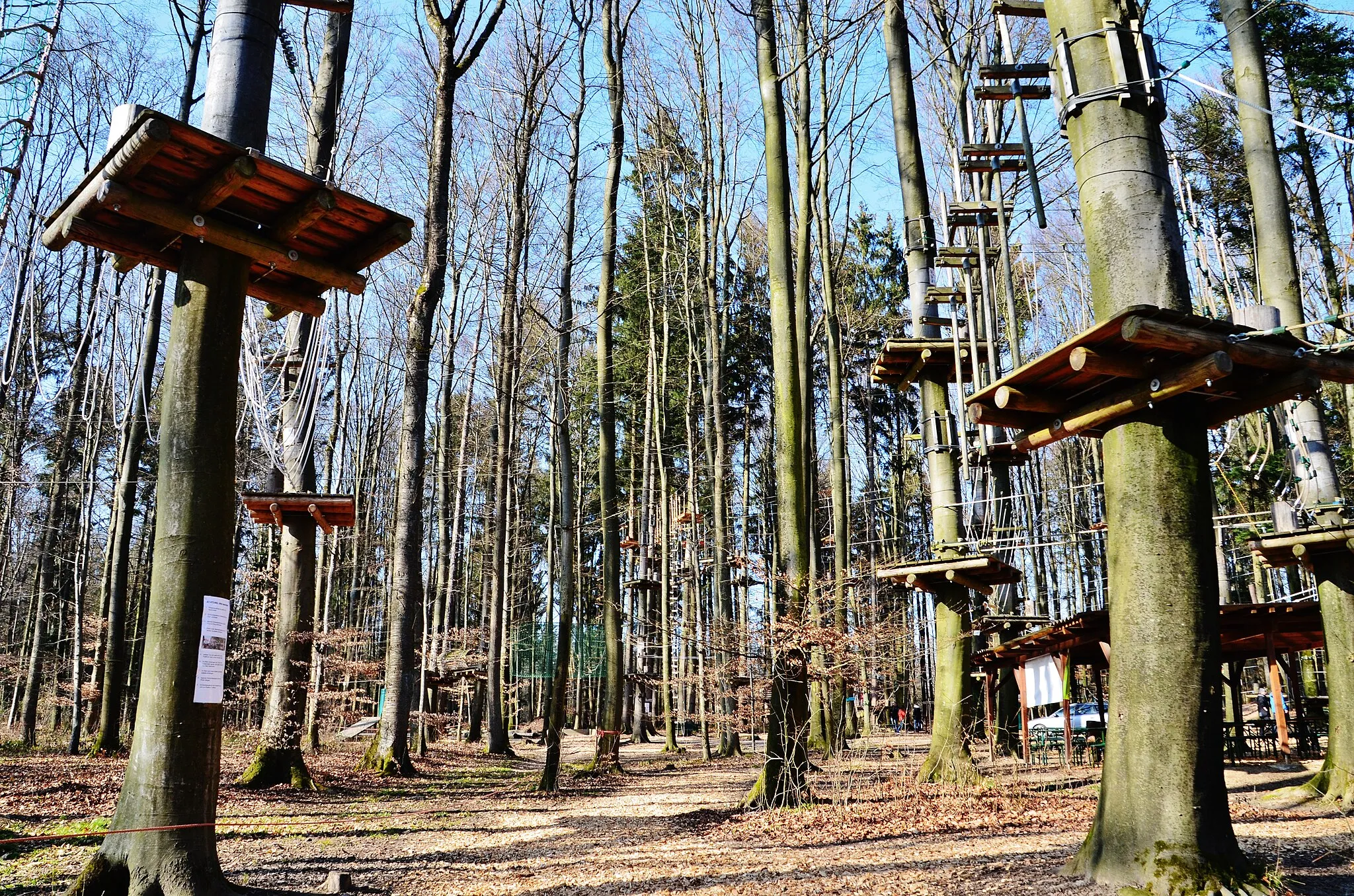 Photo showing: Klettergarten, Waldhochseilgarten Rutesheim