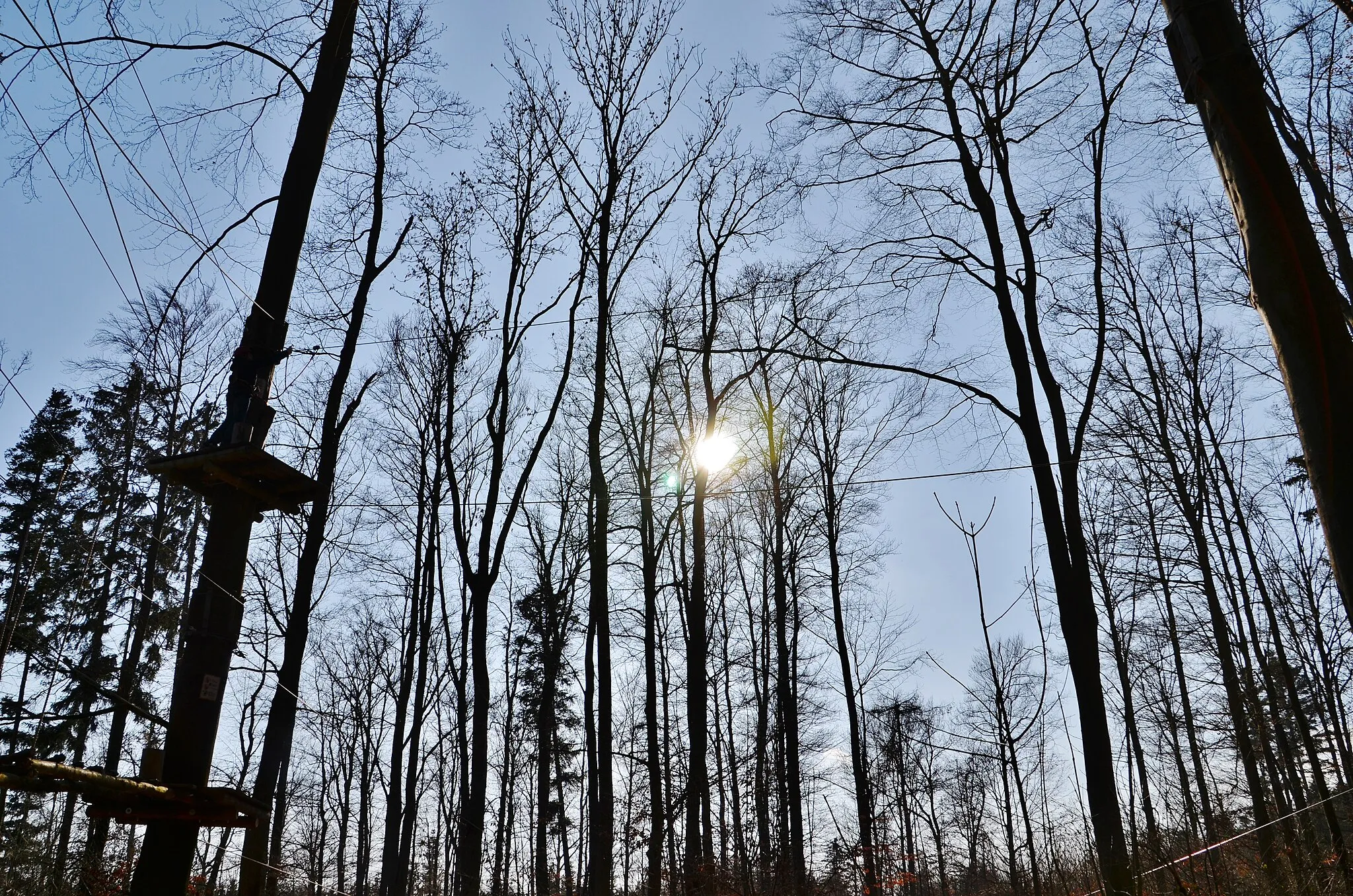 Photo showing: Klettergarten, Waldhochseilgarten Rutesheim