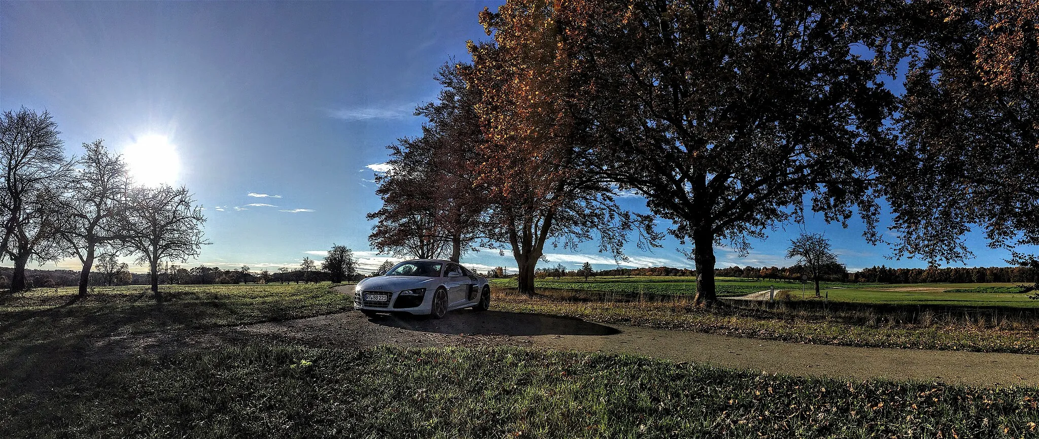 Photo showing: Herbststimmung mit Schneeflöckchen