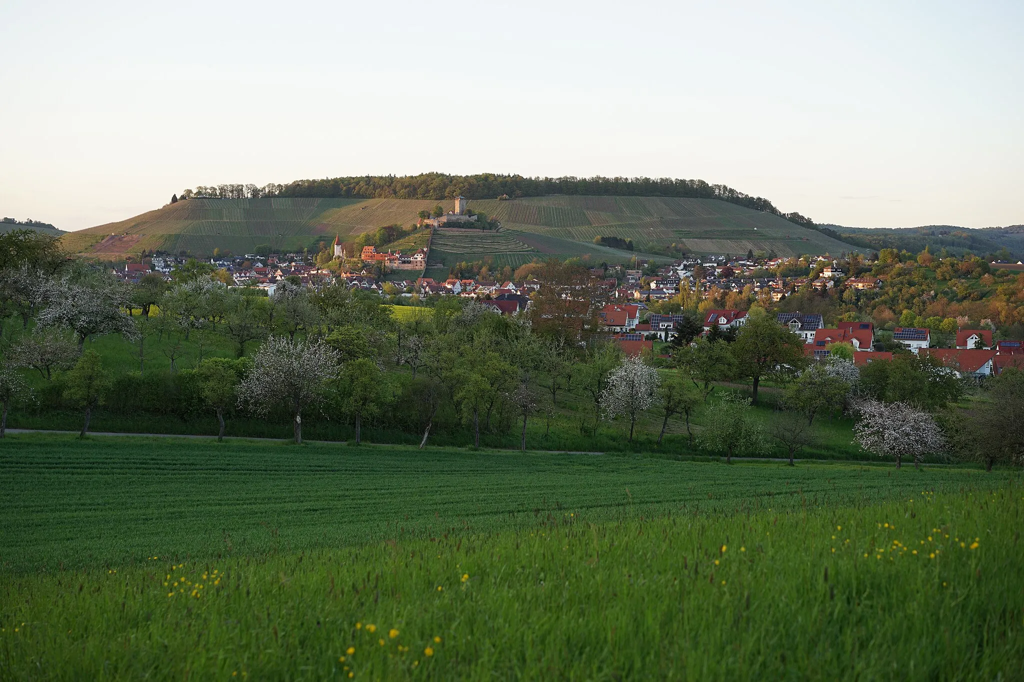 Photo showing: Abendlicher Blick auf Beilstein (Württemberg) mit Burg Hohenbeilstein, Magdalenenkirche, Unterem Schloss vom Südost-Hang des Forstberges bei Oberstenfeld.