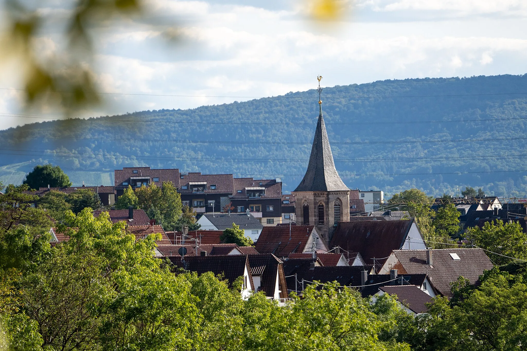 Photo showing: Blick vom Hauflerweg auf die Evangelische Martinskirche