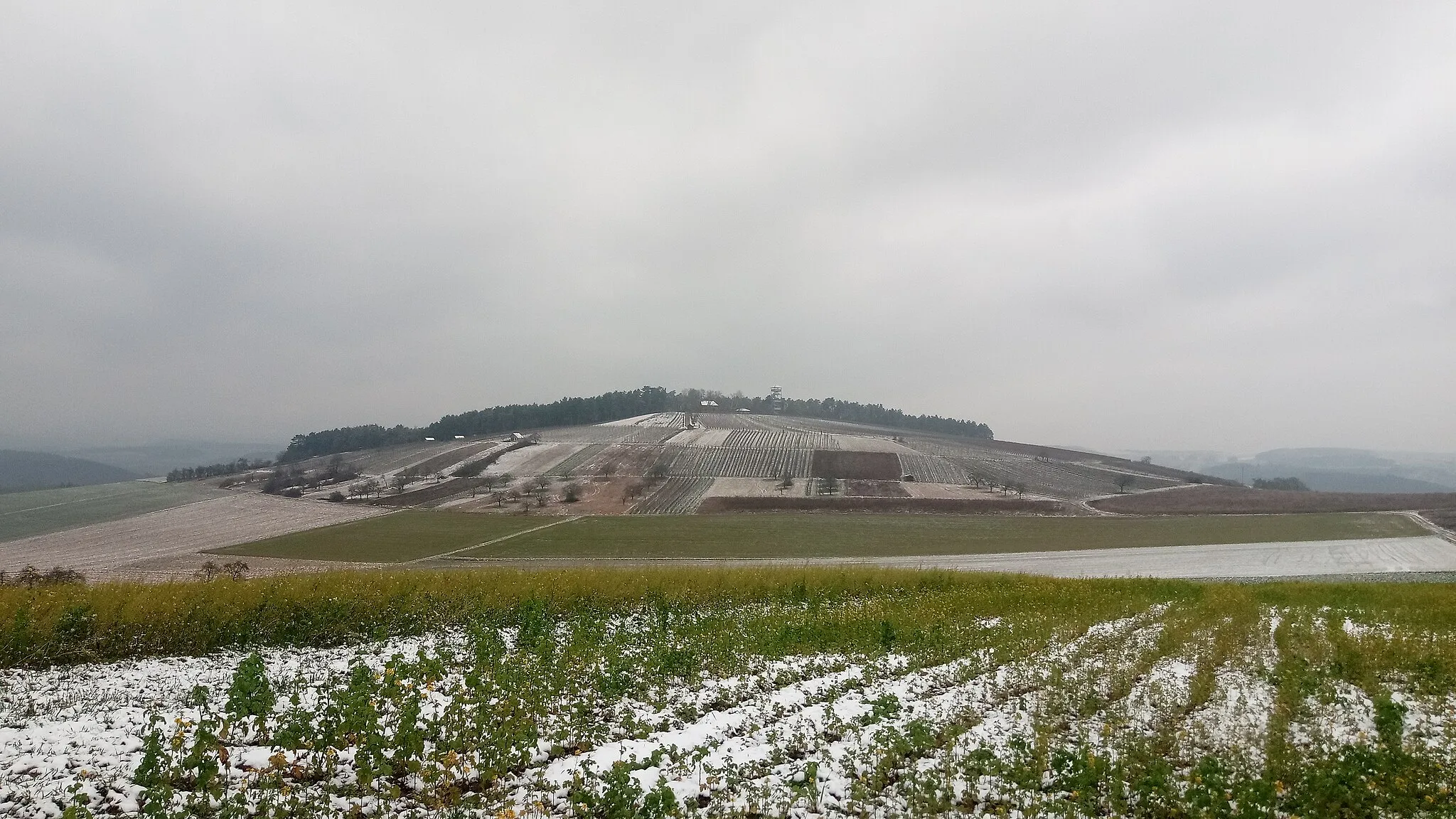 Photo showing: Stahlberg mit Stahlbergturm 2021