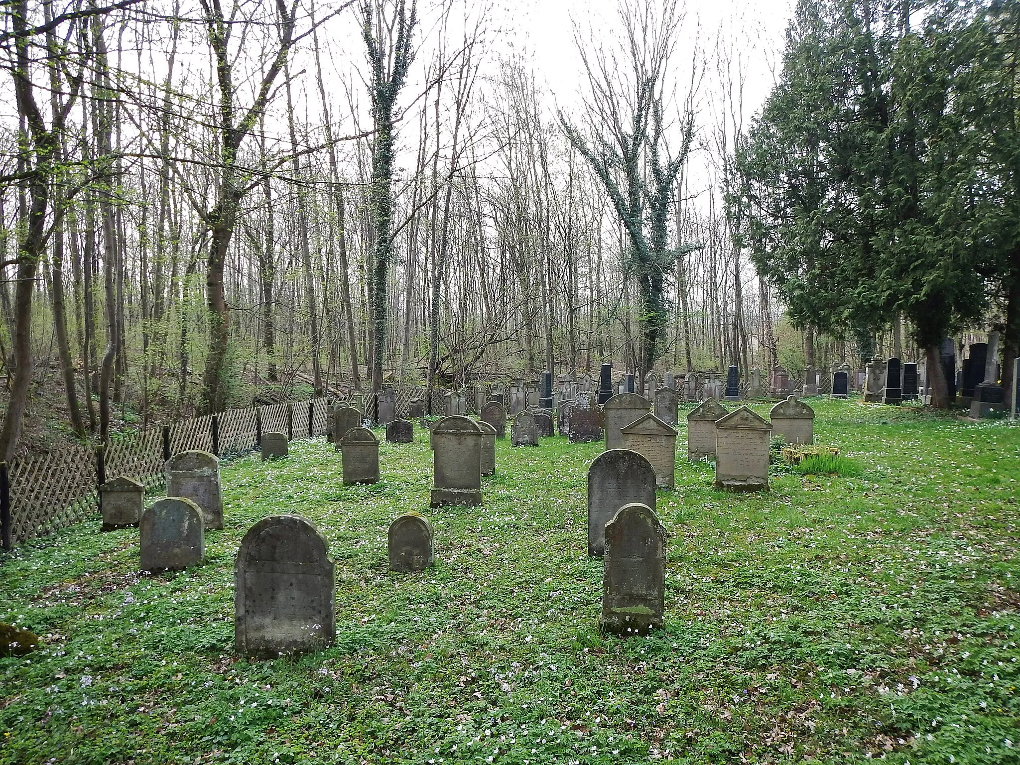 Photo showing: Jüdischer Friedhof in  Wankheim: 1774 hatten die ersten Juden das Grundstück gepachtet. 1845 wurde der Platz käufllich von der Wankheimer Judengemeinde erworben