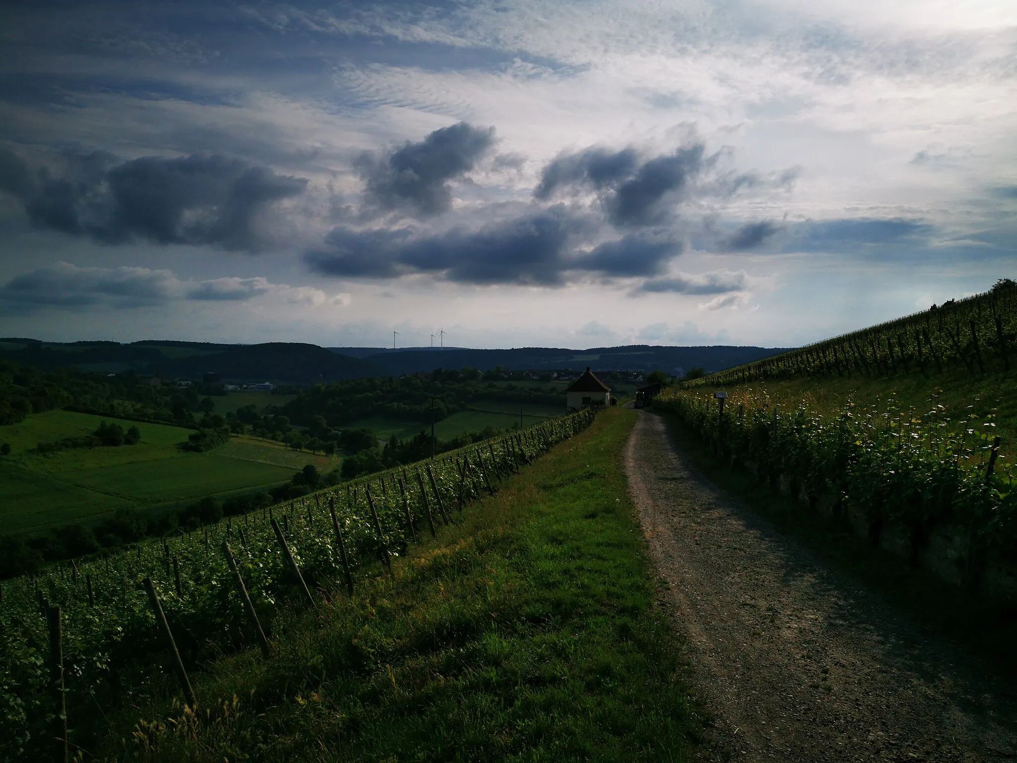 Photo showing: Weinlehrpfad Edelberg Tauberbischofsheim