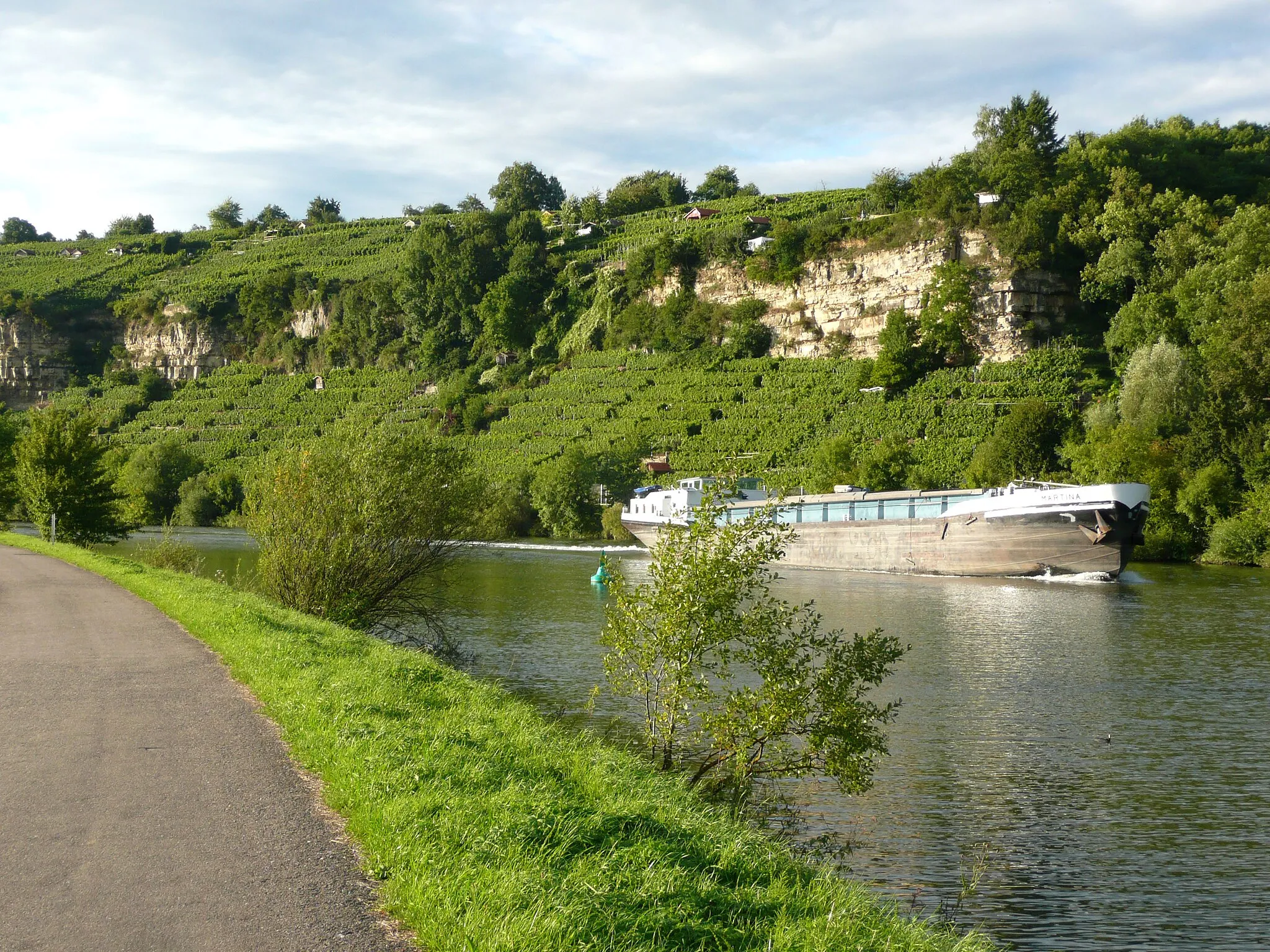 Photo showing: Ausblick vom 366 km langen Neckartalradweg auf den Neckar mit seinen Weinbergen bei Poppenweiler