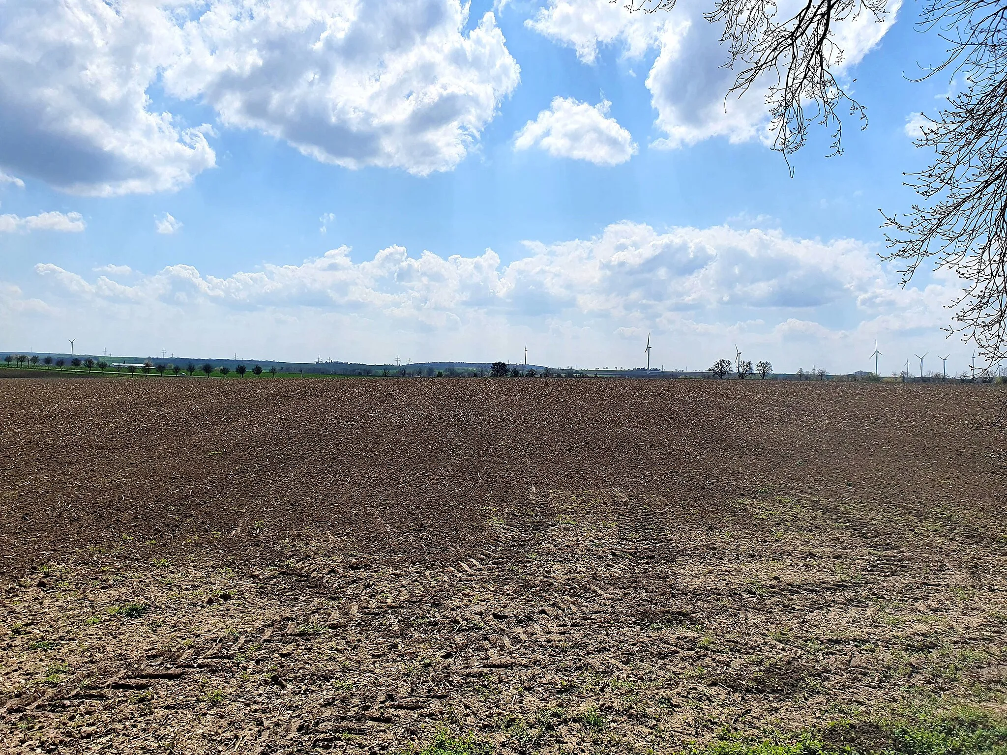 Photo showing: geschützter Landschaftsbestandteil im Burgenlandkreis: Parkanlage in Hollsteitz, Gemeinde Kretzschau, Sachsen-Anhalt