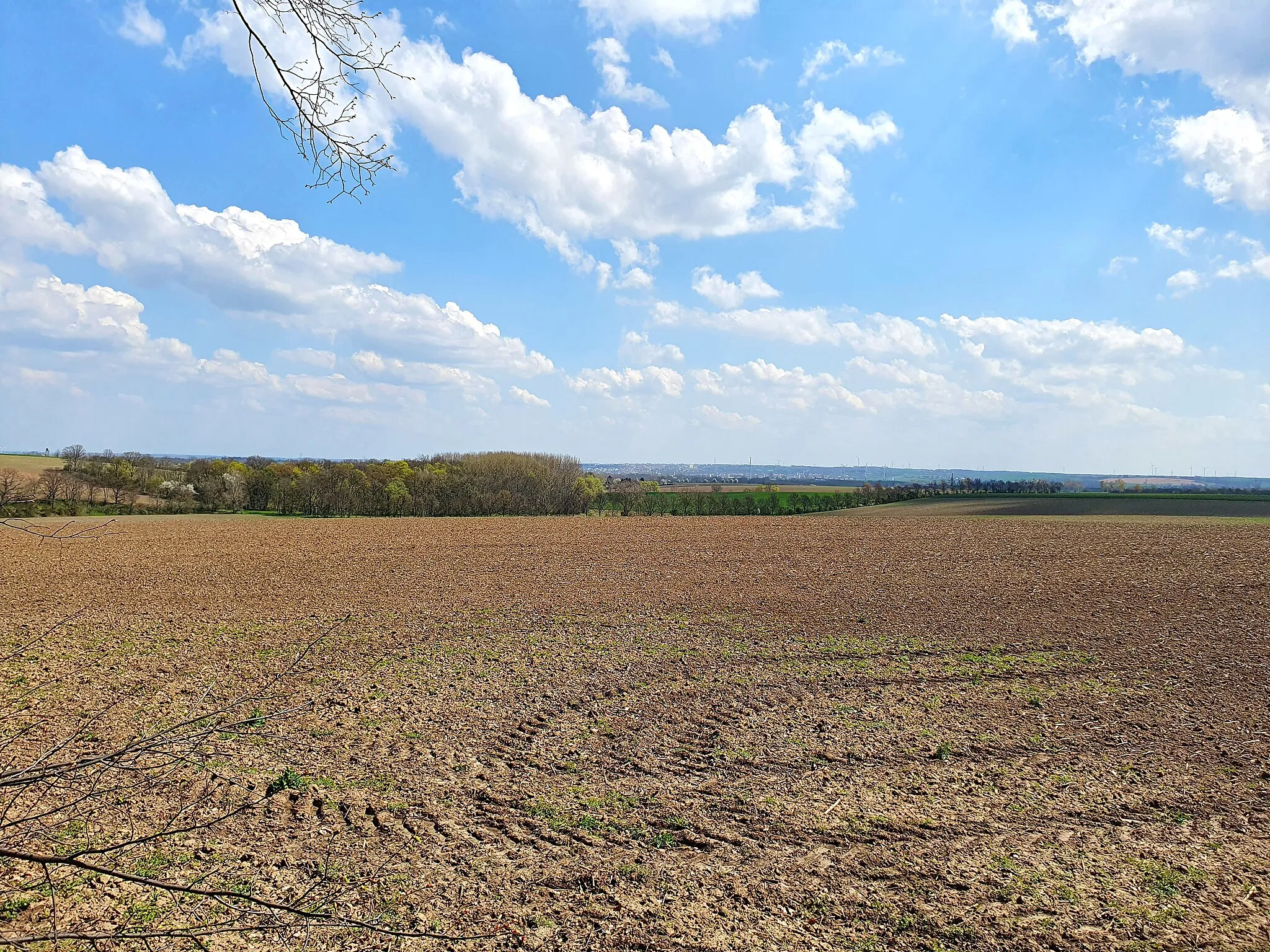 Photo showing: geschützter Landschaftsbestandteil im Burgenlandkreis: Parkanlage in Hollsteitz, Gemeinde Kretzschau, Sachsen-Anhalt