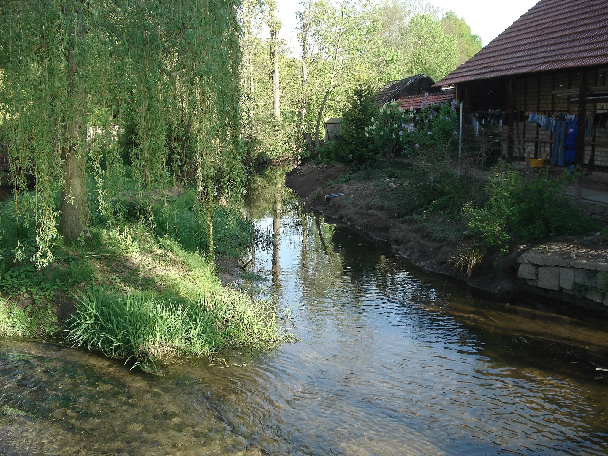 Photo showing: Der Abfluss des Oberwillinger Springs (links) mündet in die Wipfra (rechts)