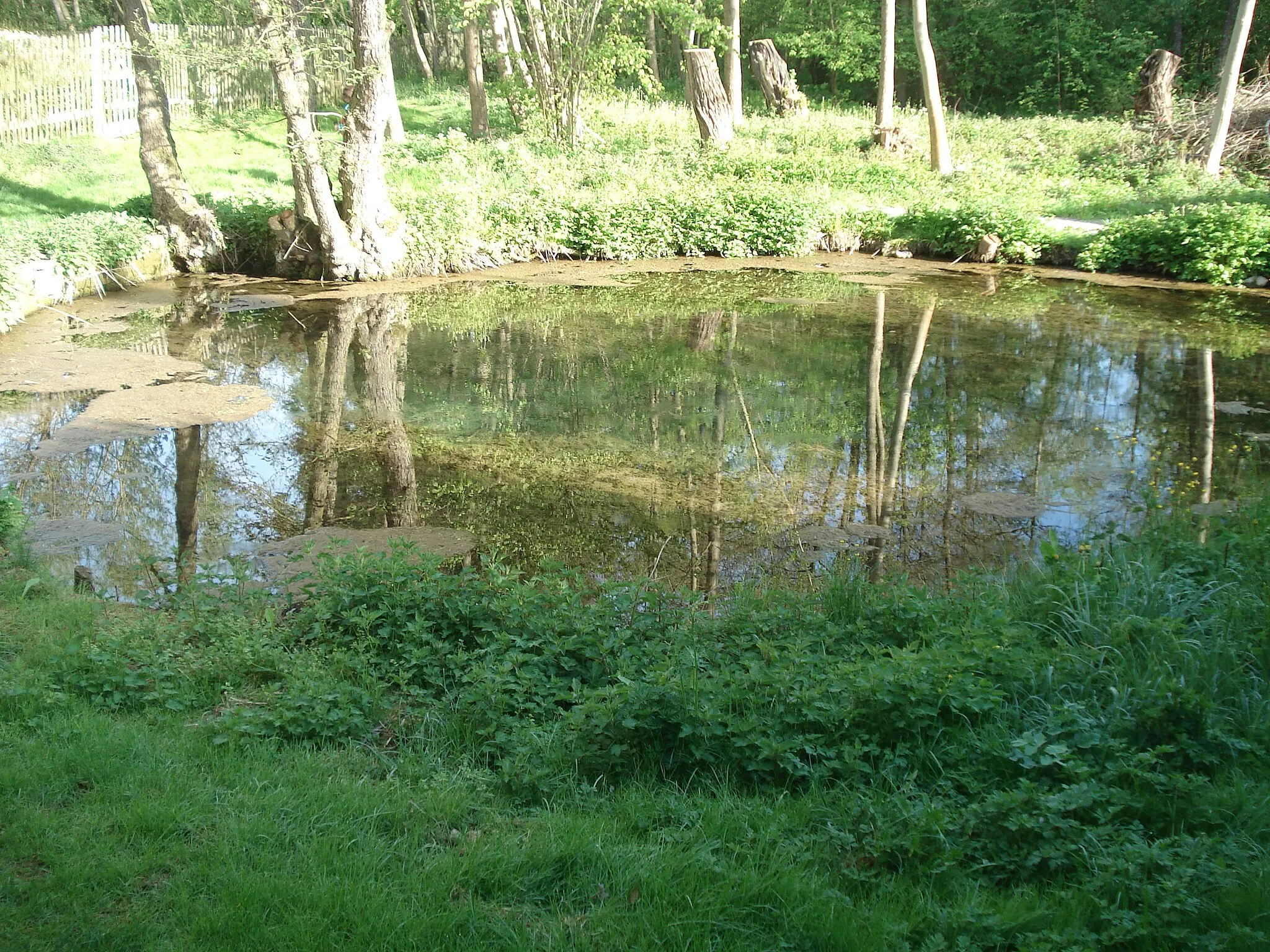 Photo showing: Der Spring in Oberwillingen